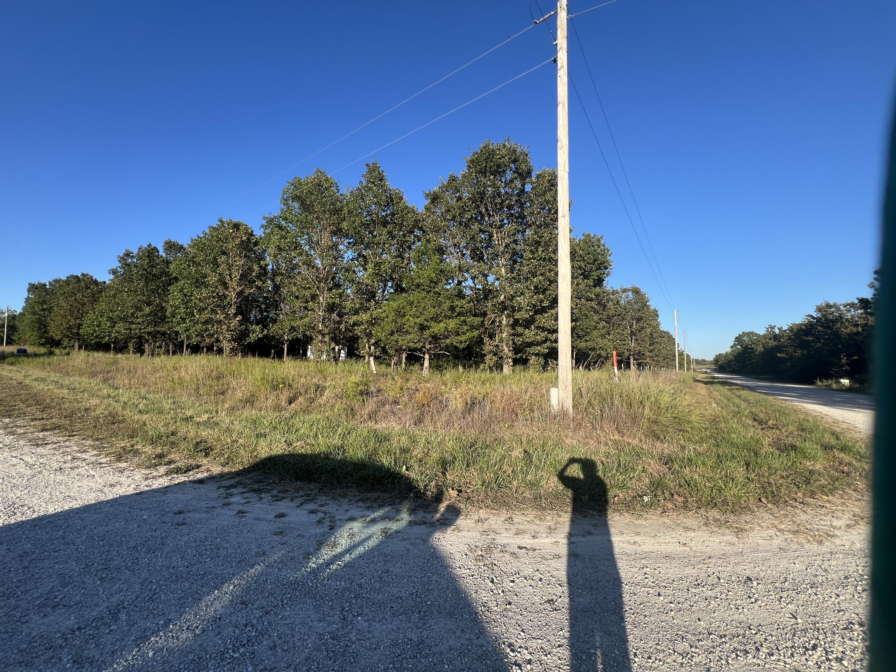 40 Buggy Drive Property Photo 4