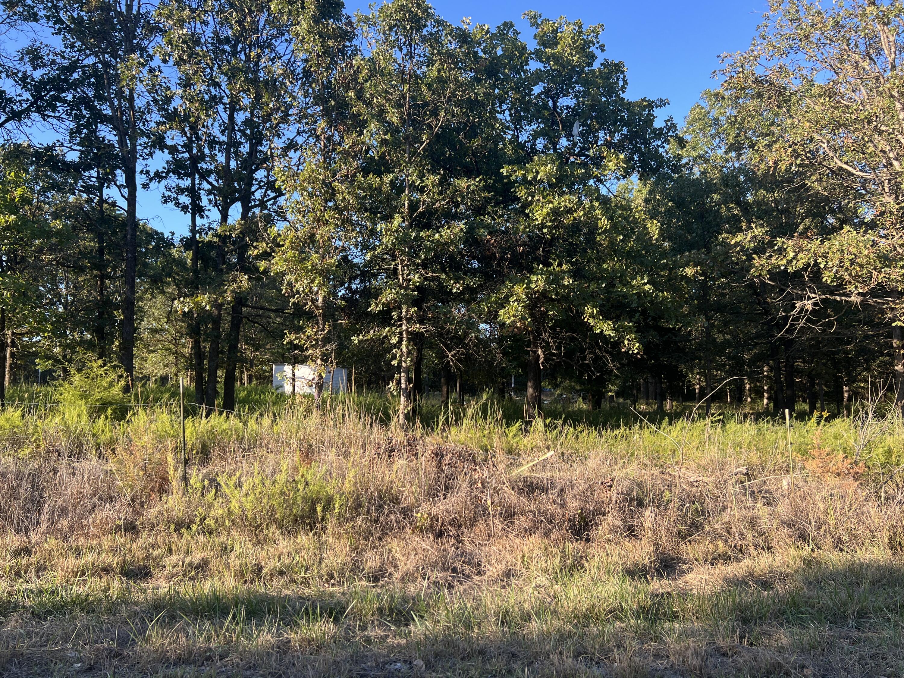 40 Buggy Drive Property Photo 6