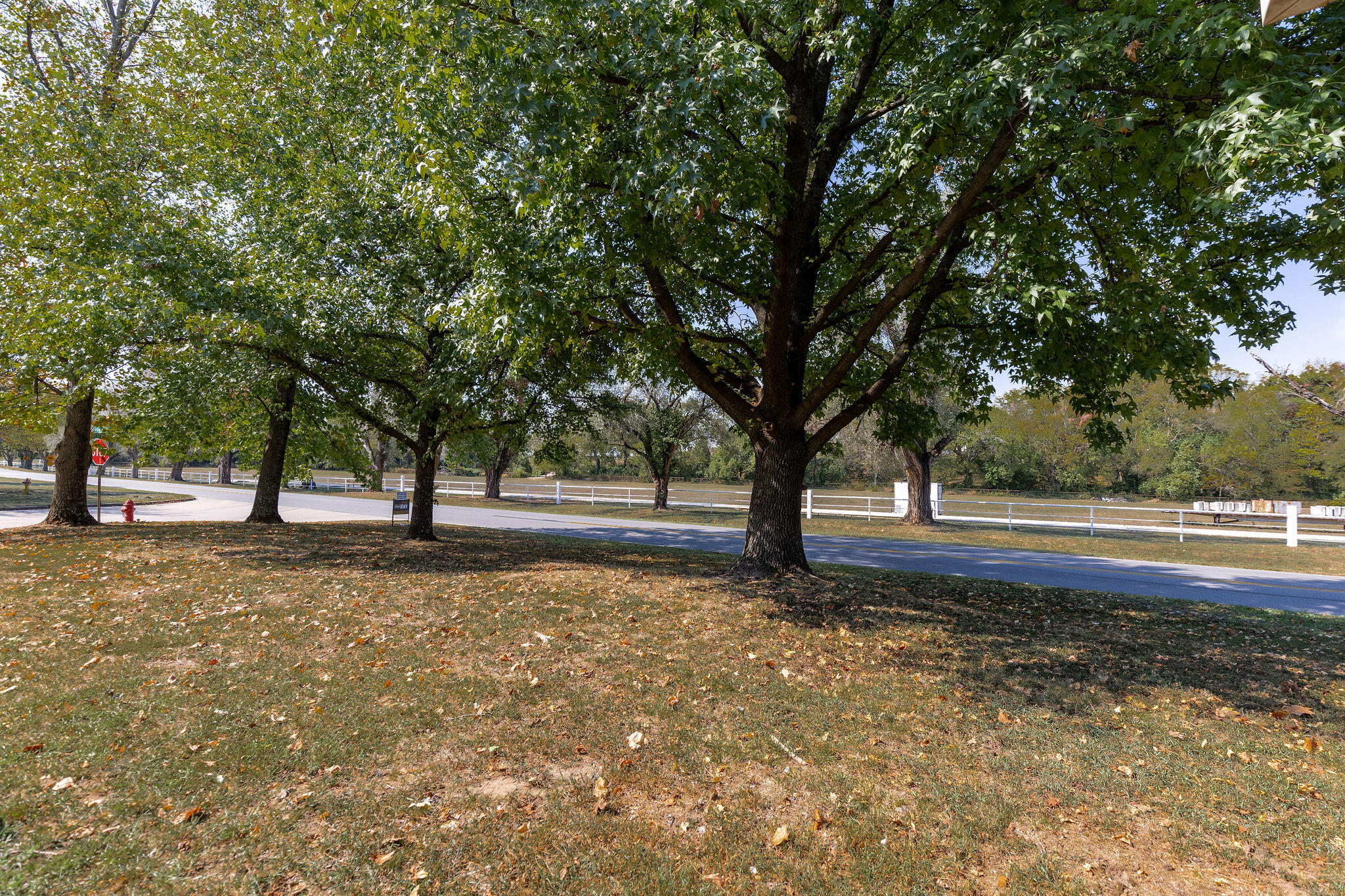 1621 Crestwood Drive Property Photo 35