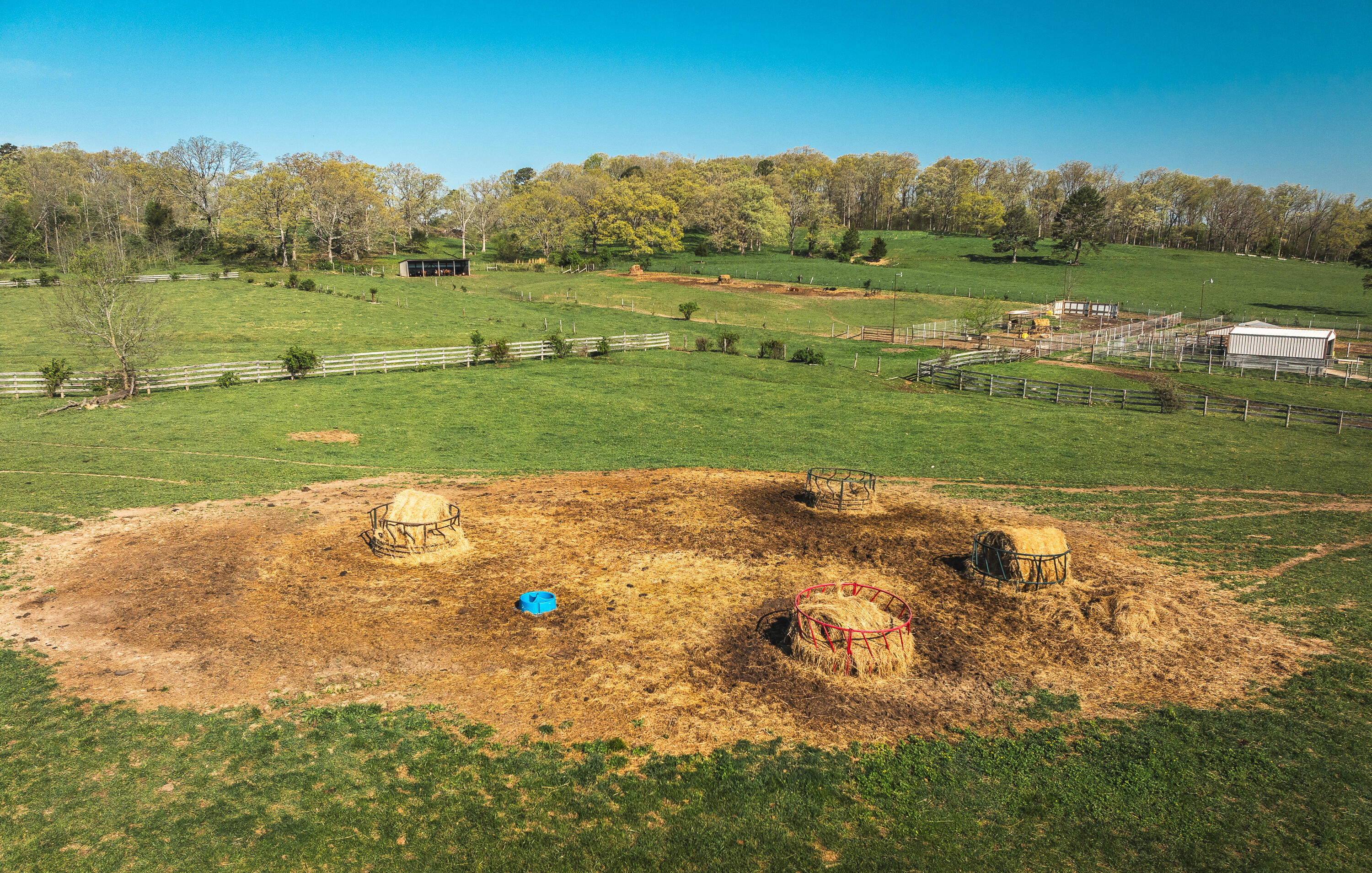 260 Kentucky Derby Lane Property Photo 7