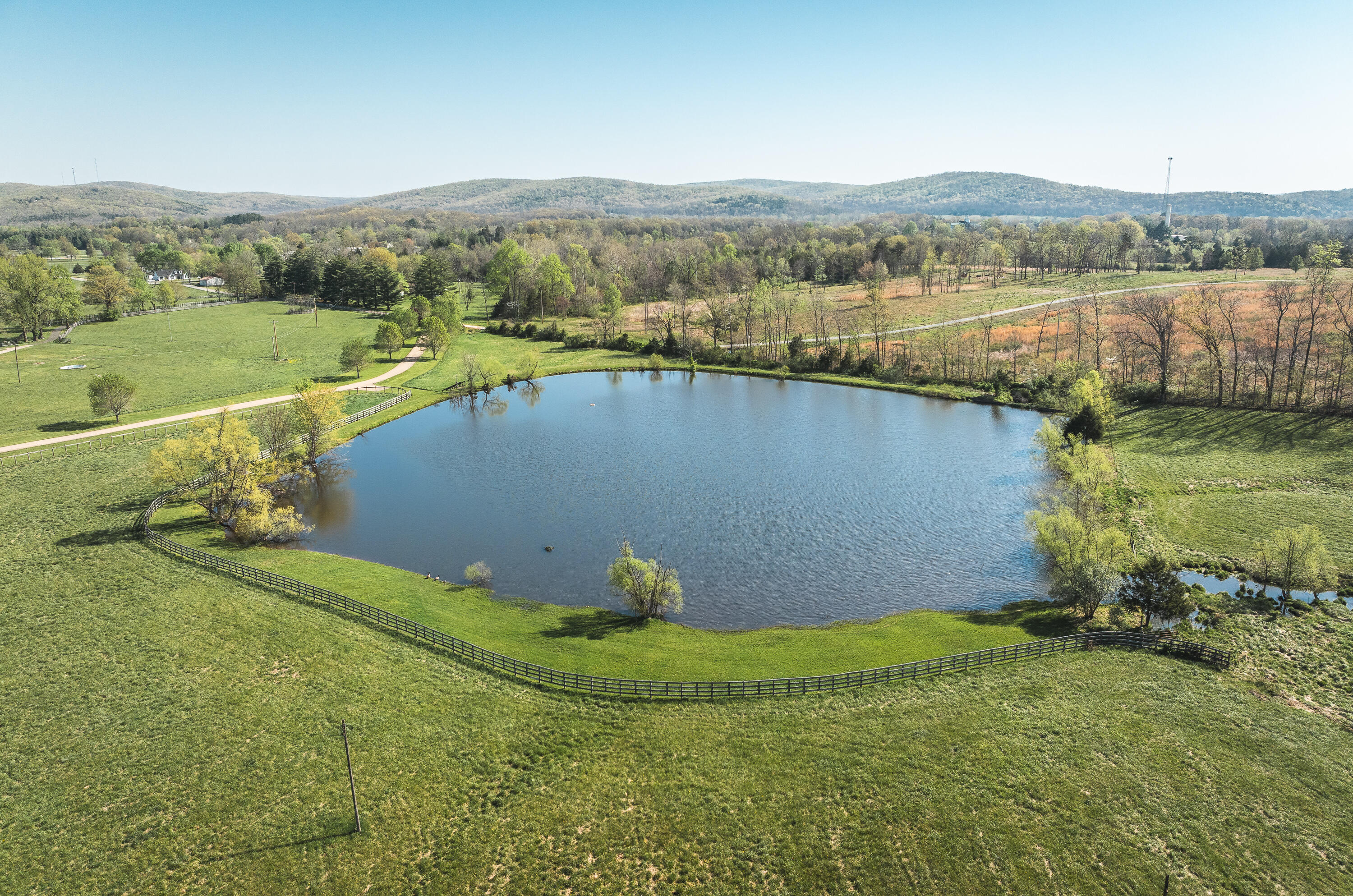 260 Kentucky Derby Lane Property Photo 8