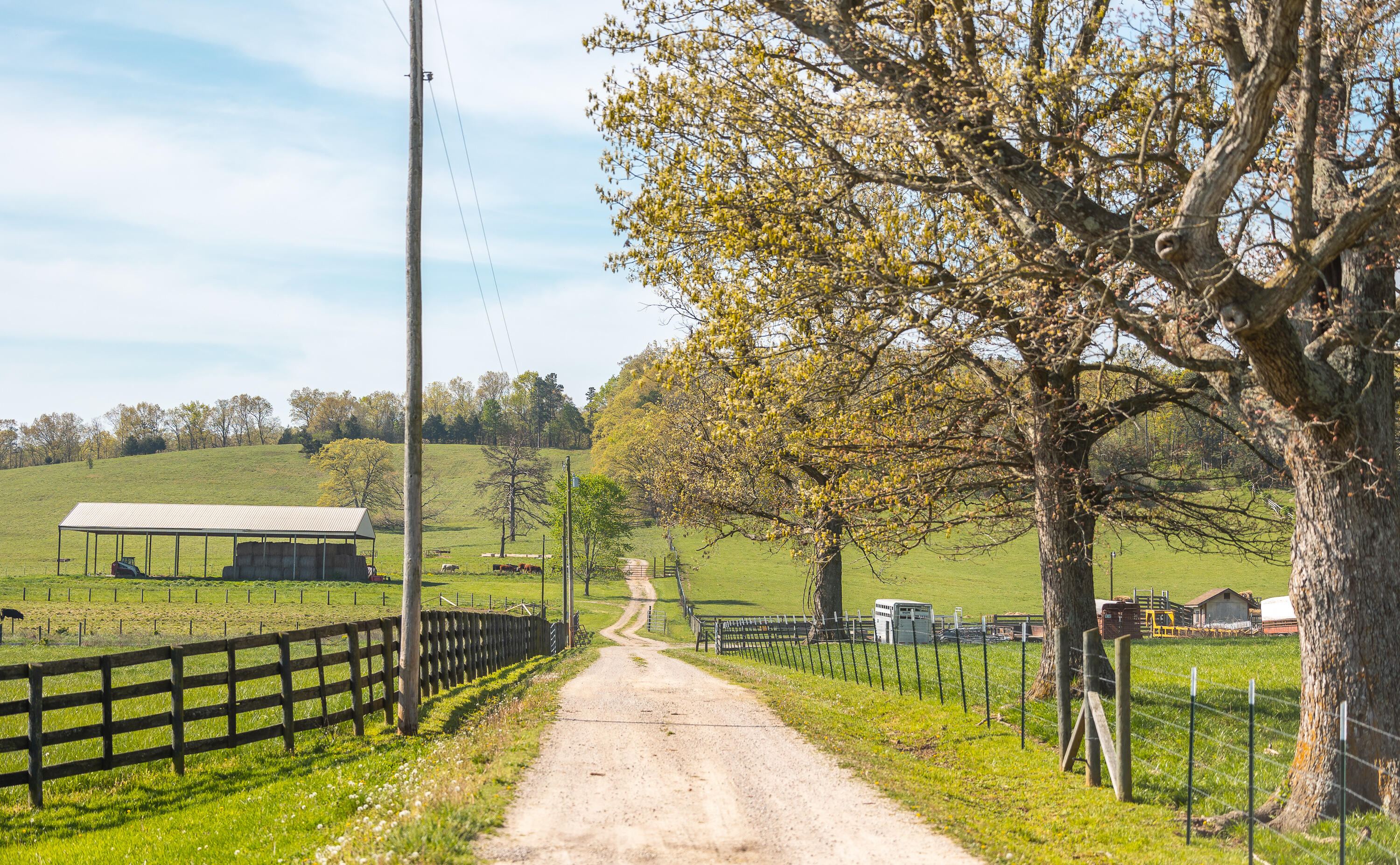 260 Kentucky Derby Lane Property Photo 18