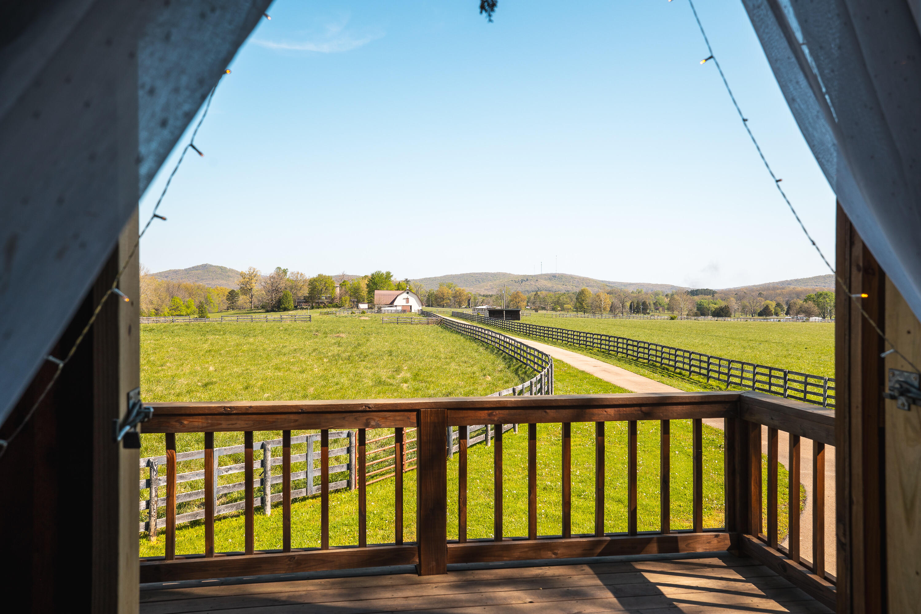 260 Kentucky Derby Lane Property Photo 26