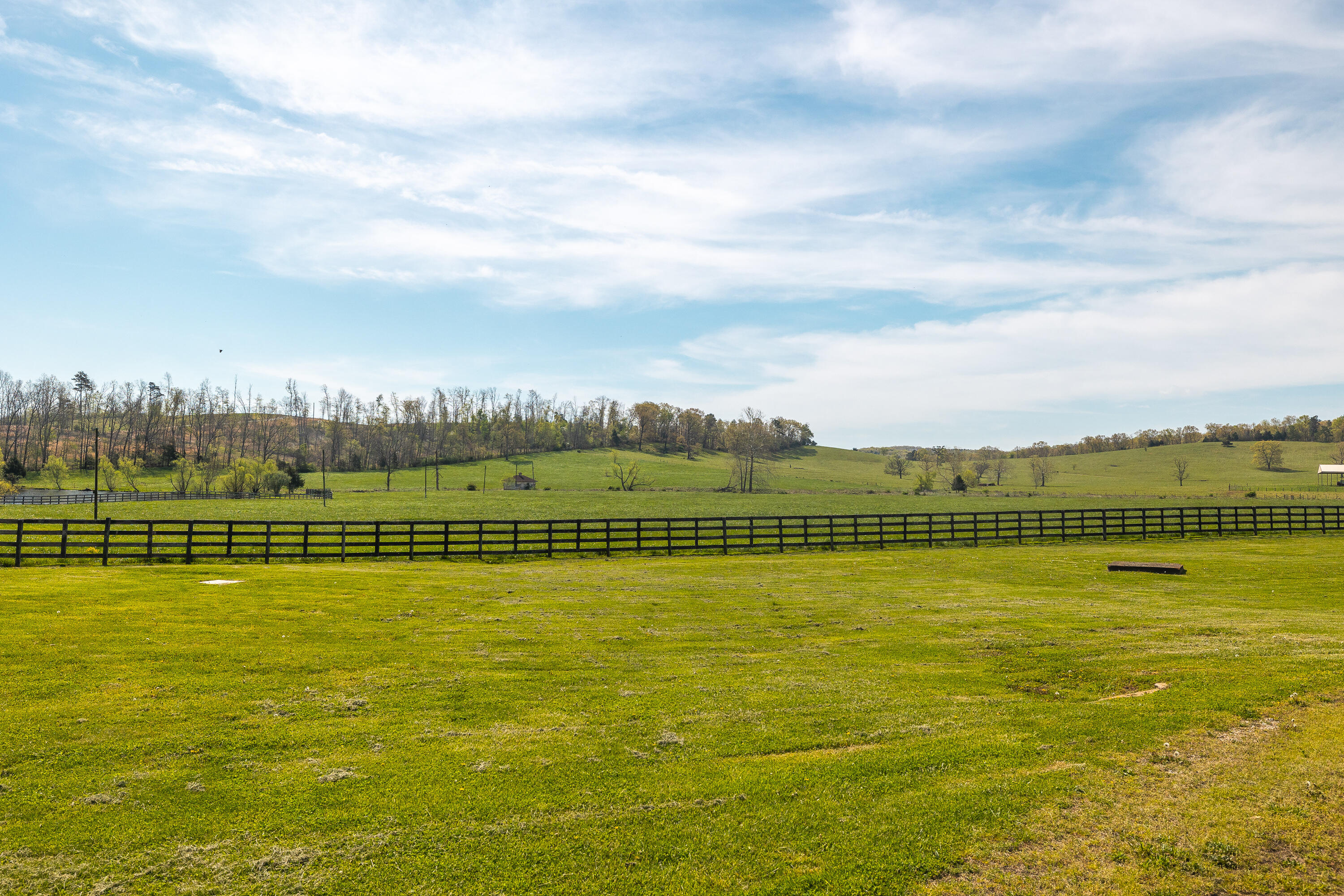 260 Kentucky Derby Lane Property Photo 31