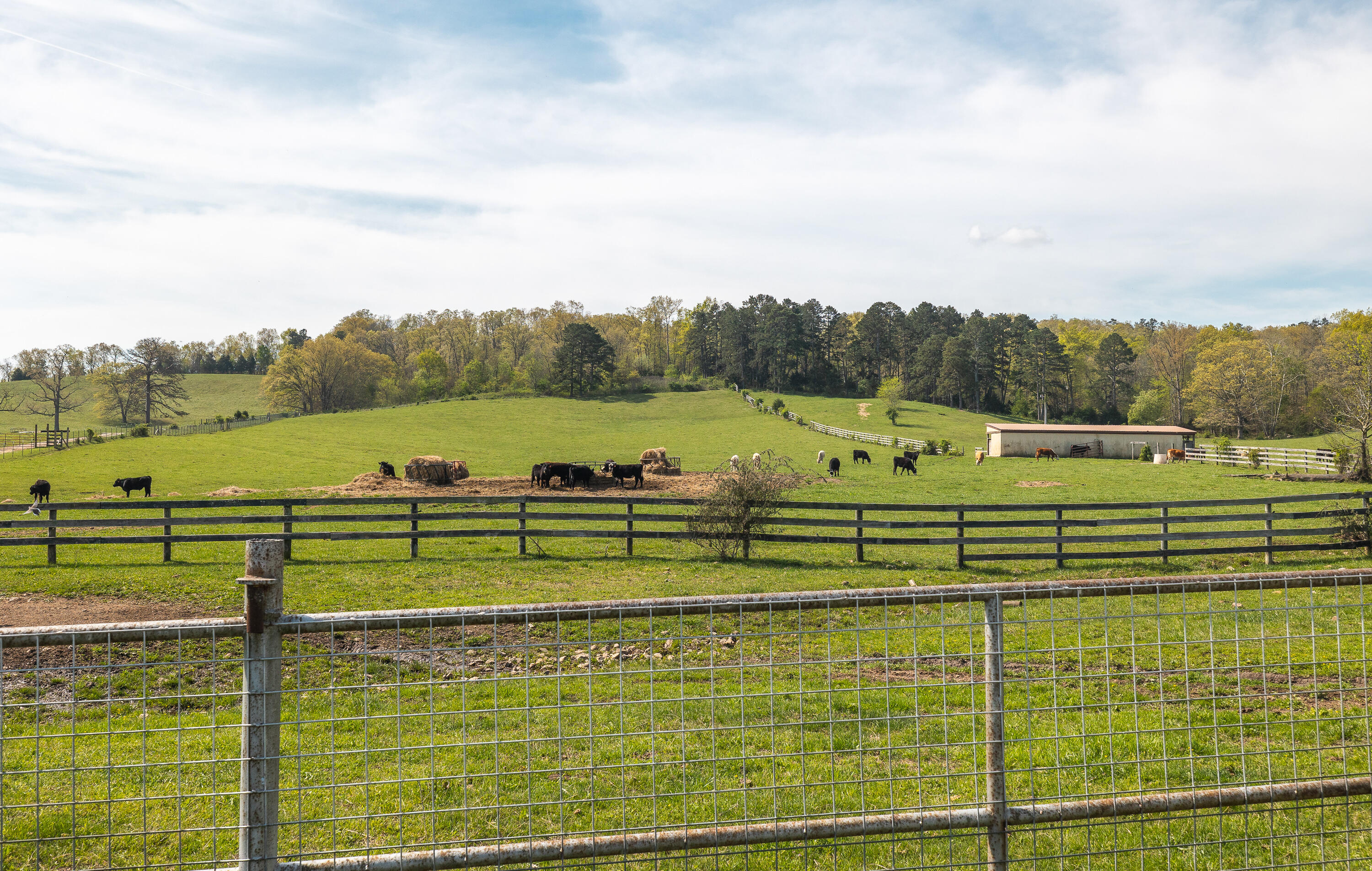 260 Kentucky Derby Lane Property Photo 43