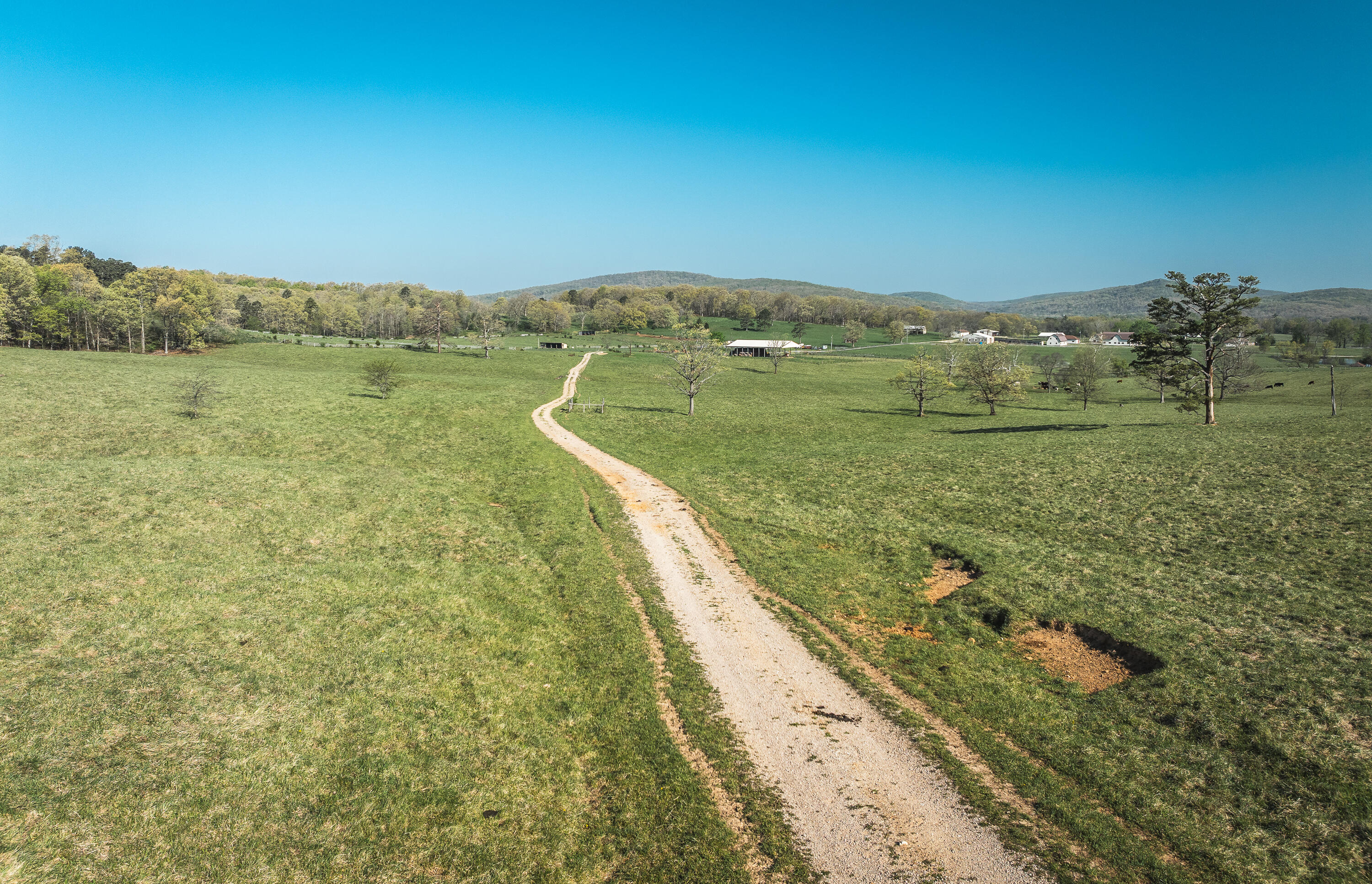 260 Kentucky Derby Lane Property Photo 45