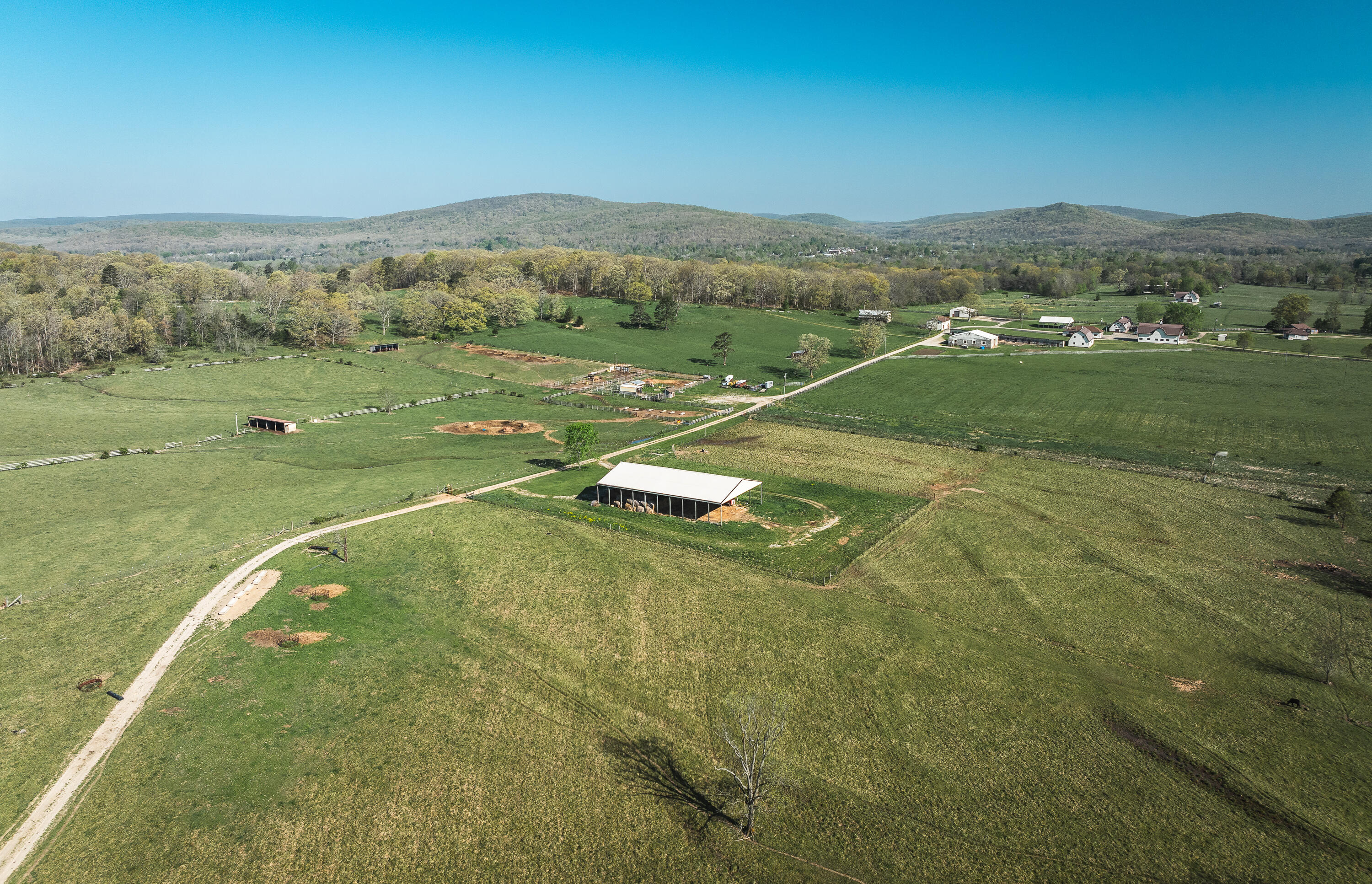 260 Kentucky Derby Lane Property Photo 46
