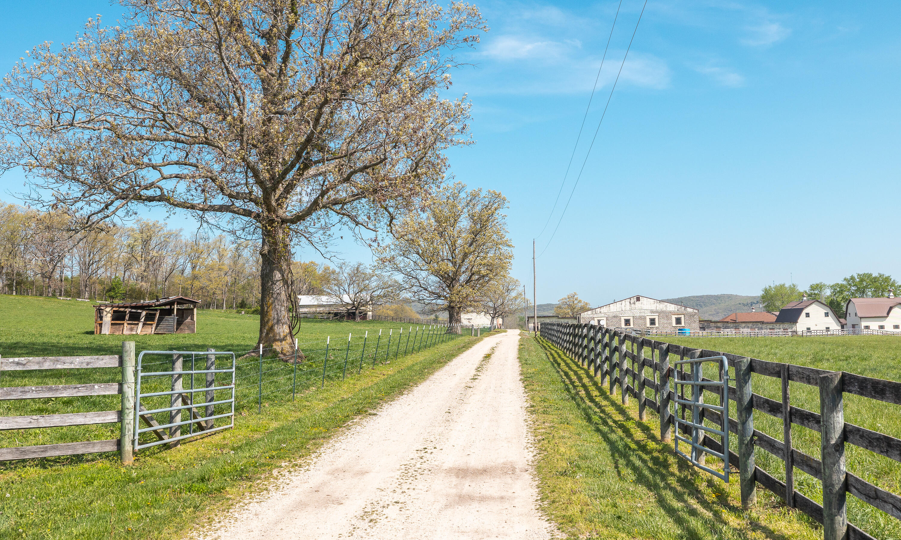 260 Kentucky Derby Lane Property Photo 52
