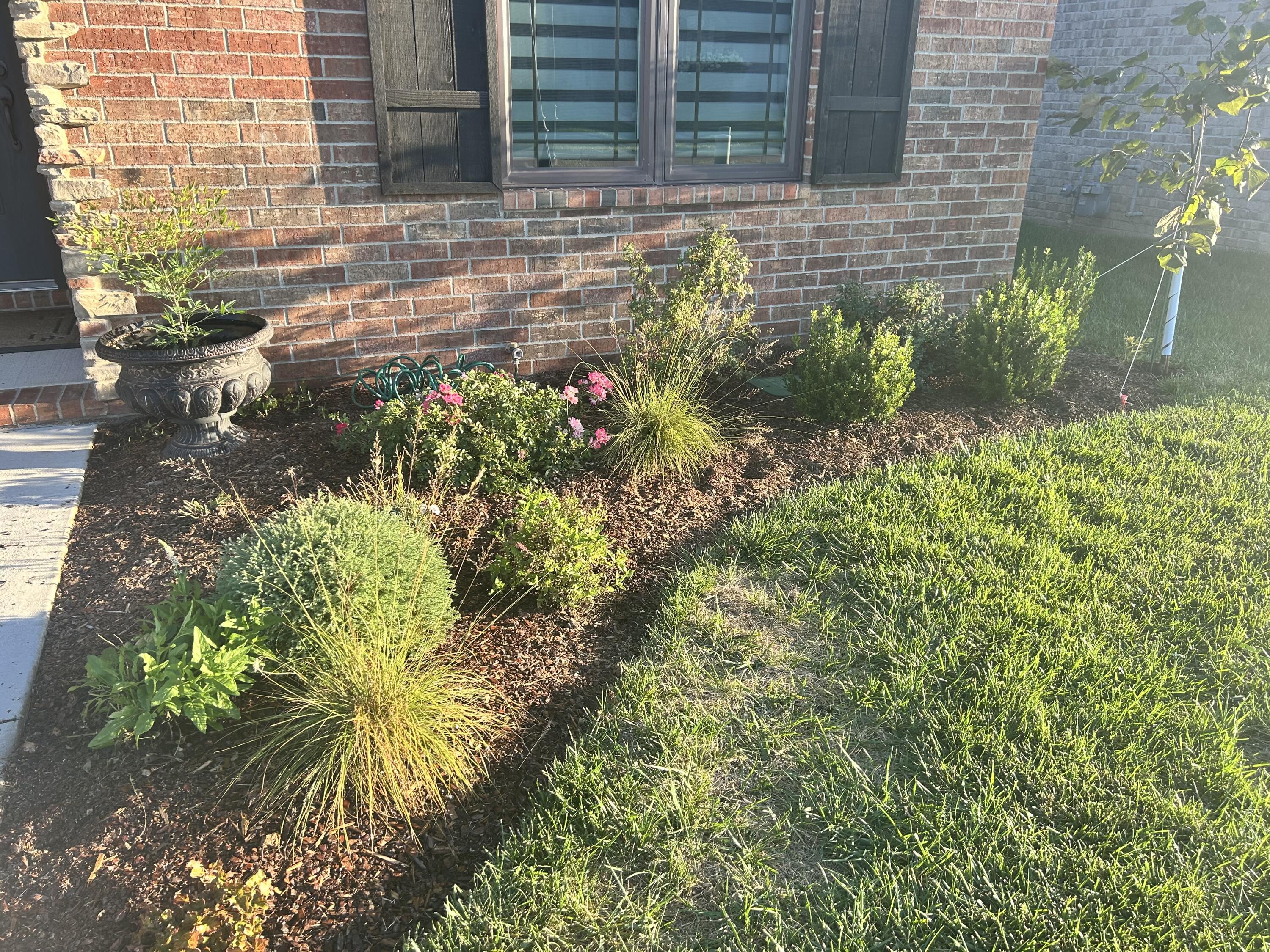 3819 East Brookdale Terrace Property Photo 21