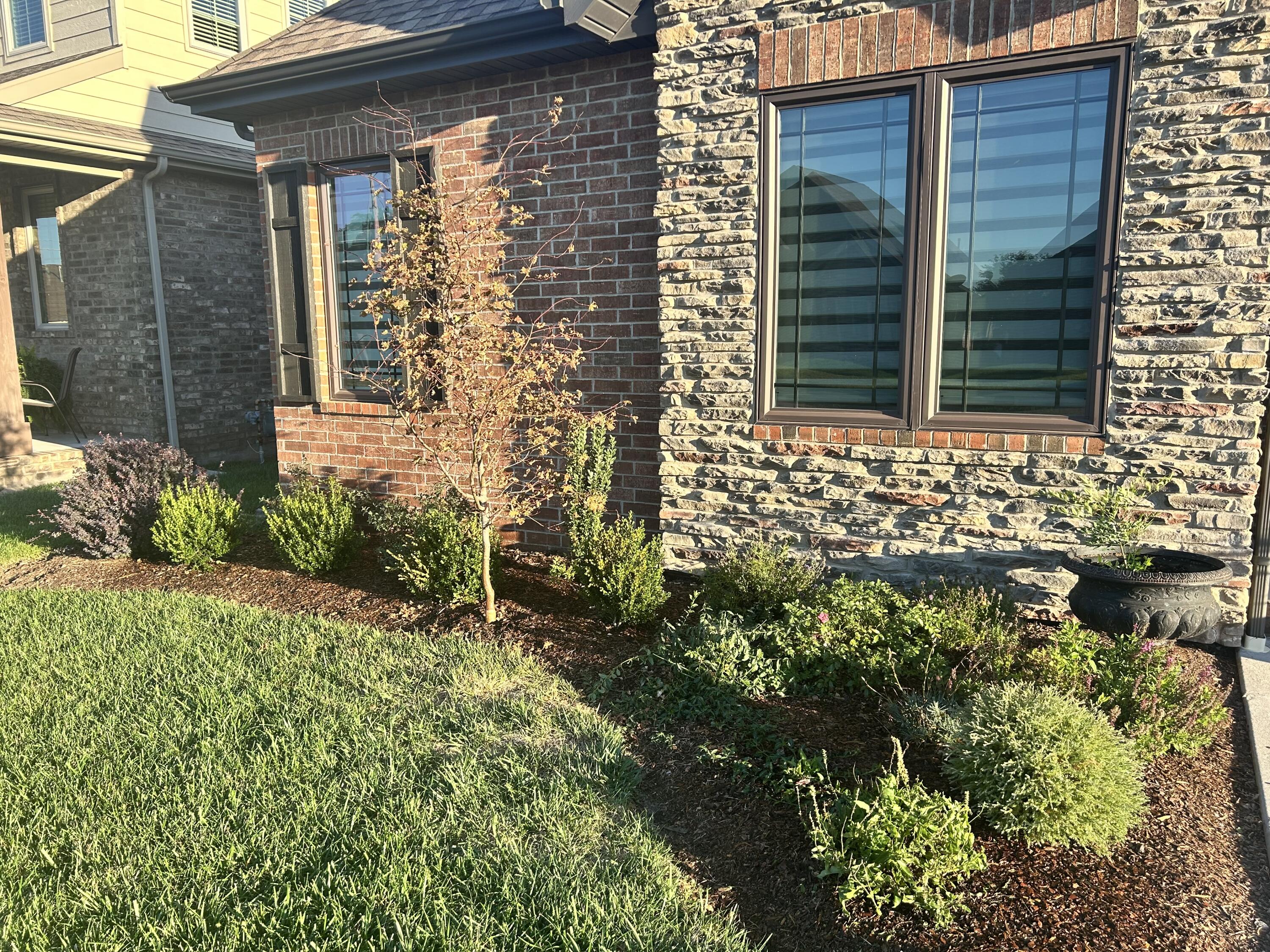 3819 East Brookdale Terrace Property Photo 22