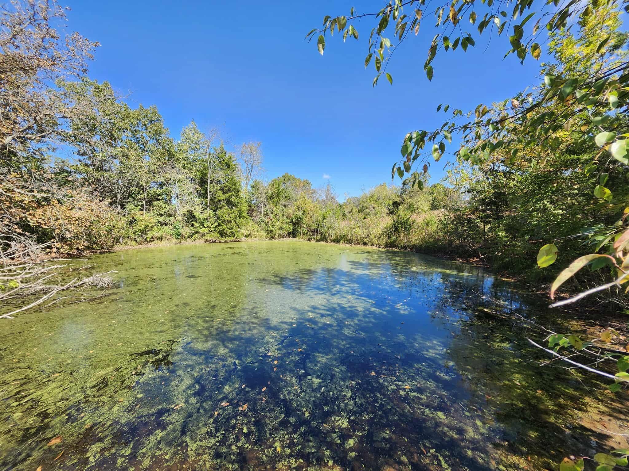 Tbd Bullfrog Road Property Photo 4