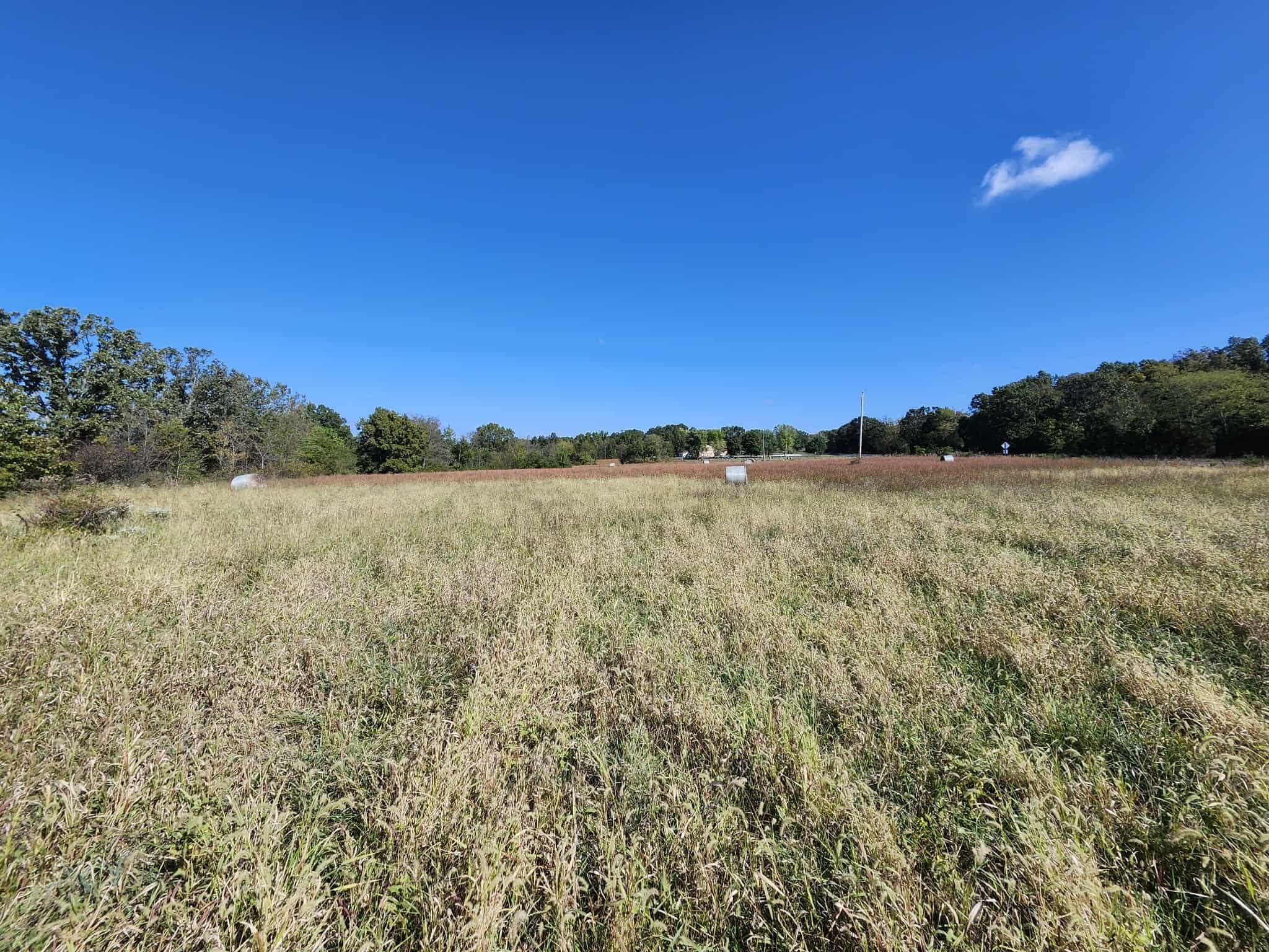 Tbd Bullfrog Road Property Photo 5