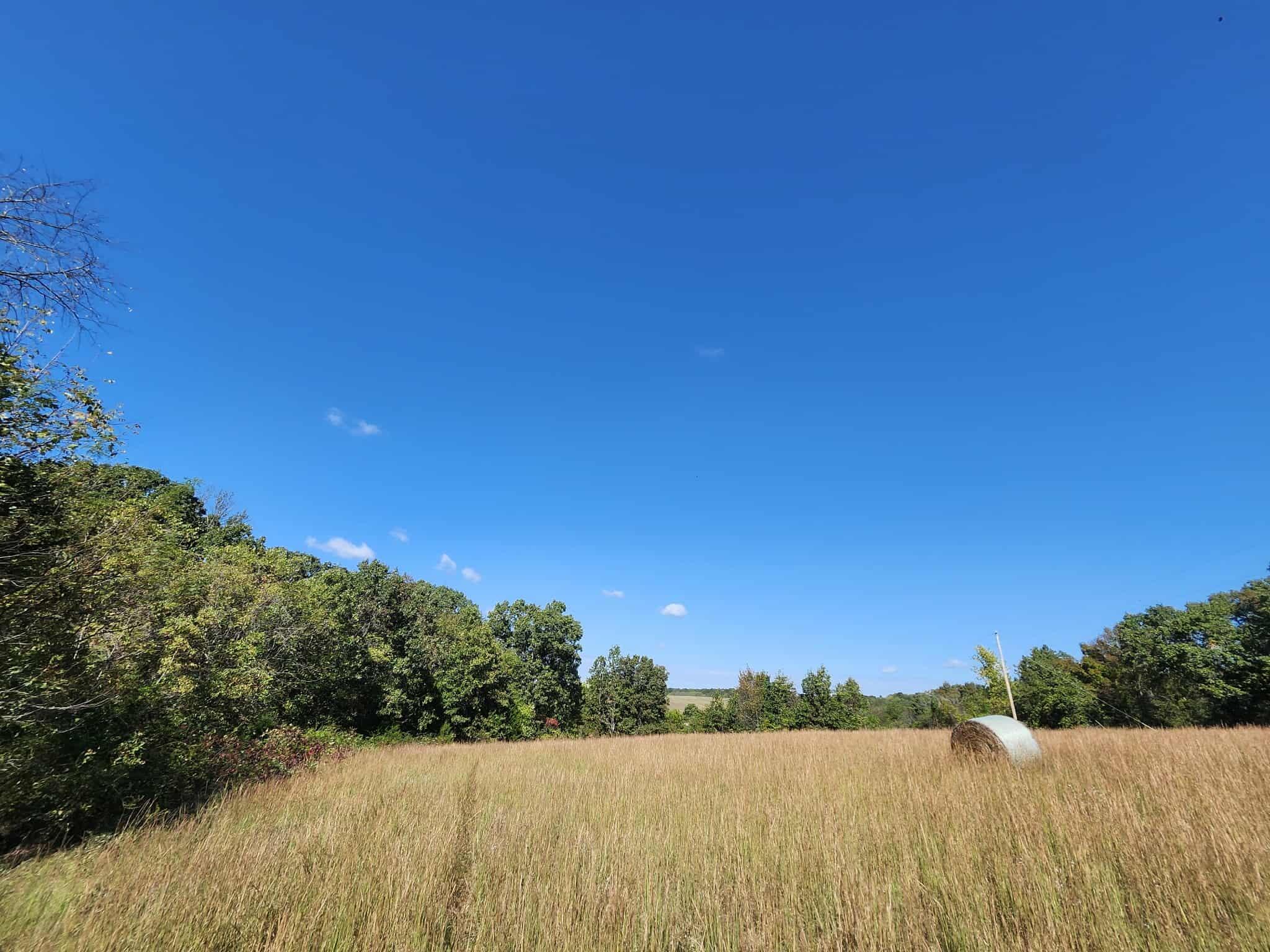 Tbd Bullfrog Road Property Photo 8