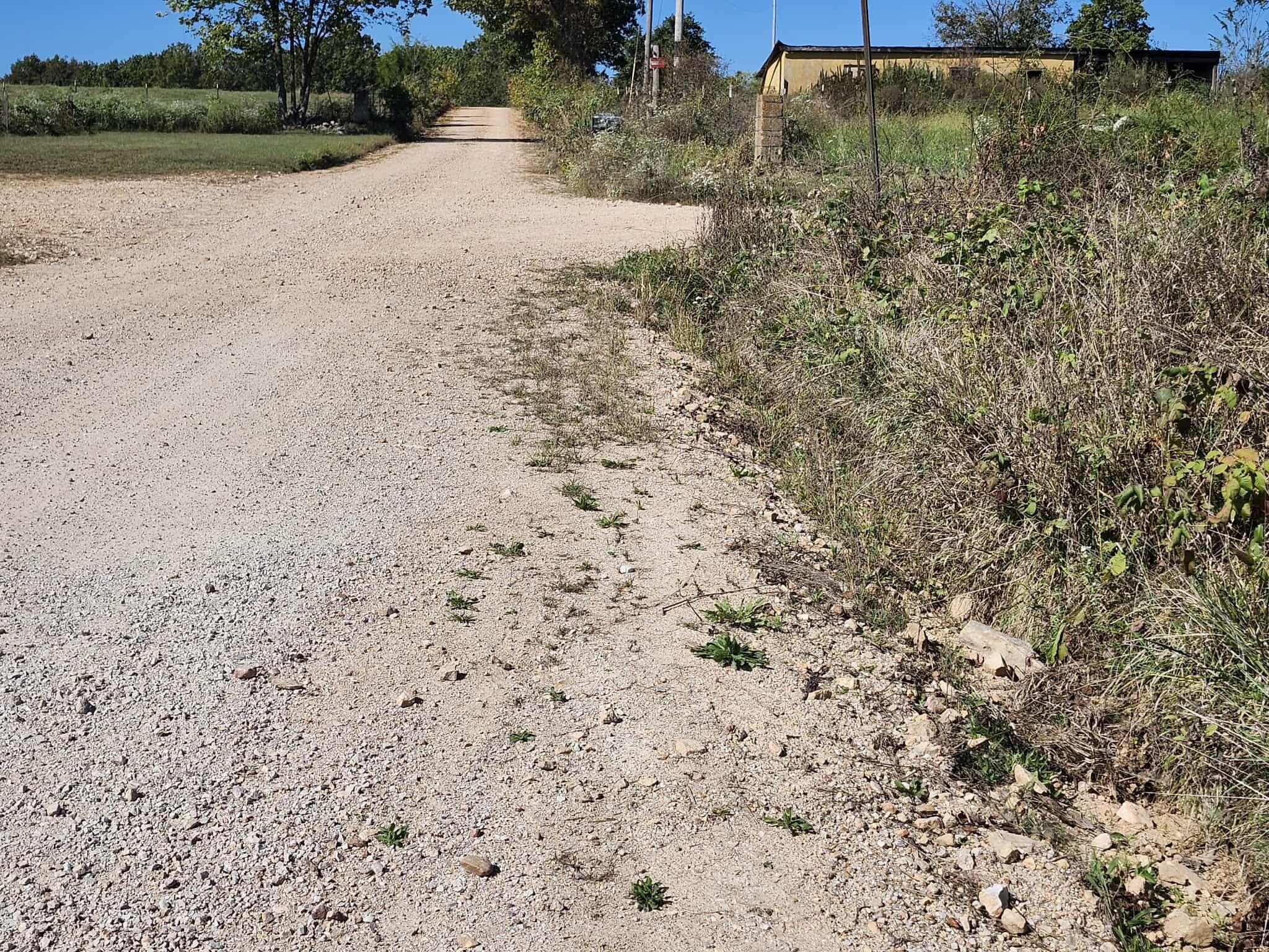 Tbd Bullfrog Road Property Photo 11