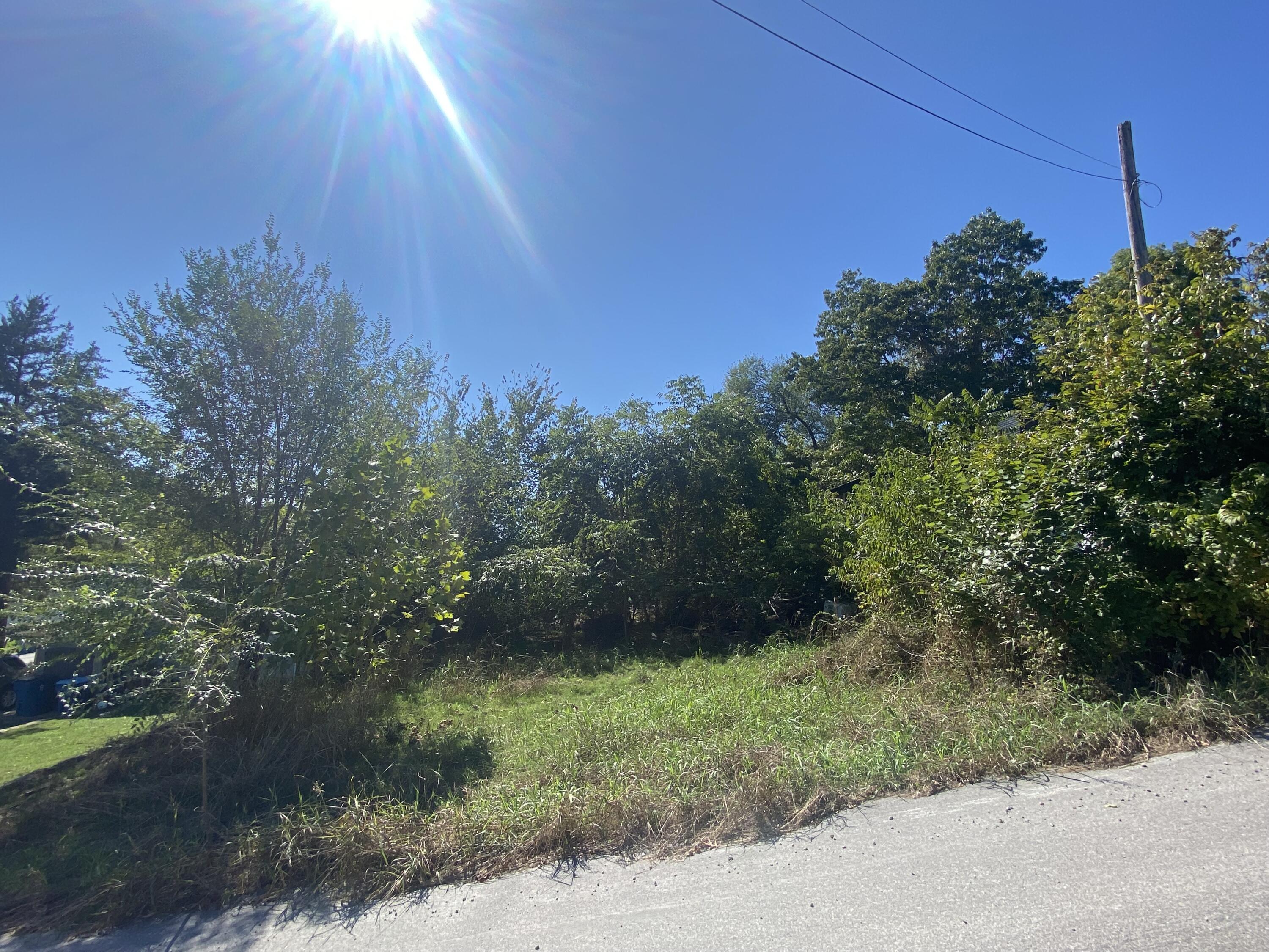 127 Lotus Avenue Property Photo 3