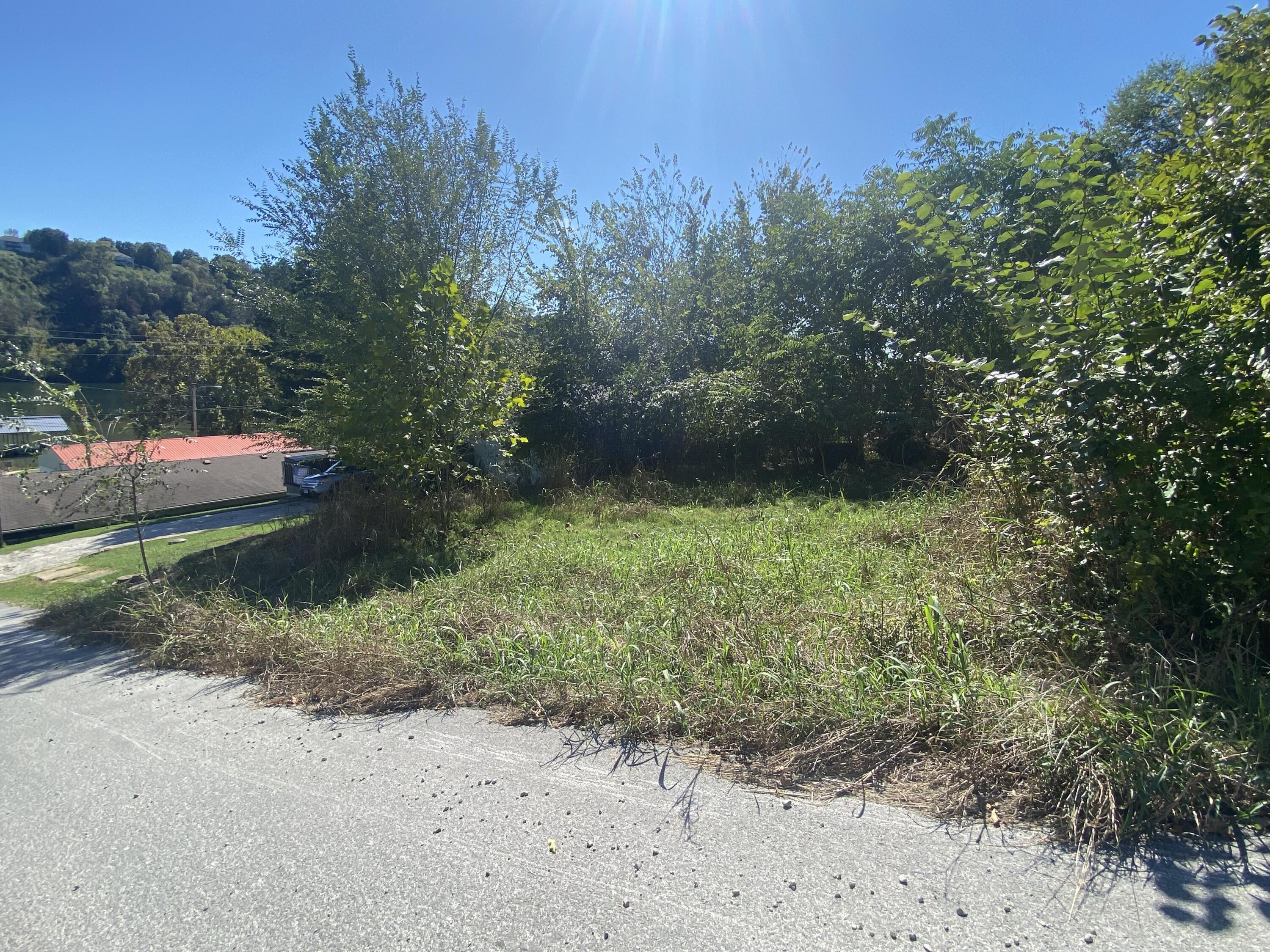 127 Lotus Avenue Property Photo 4