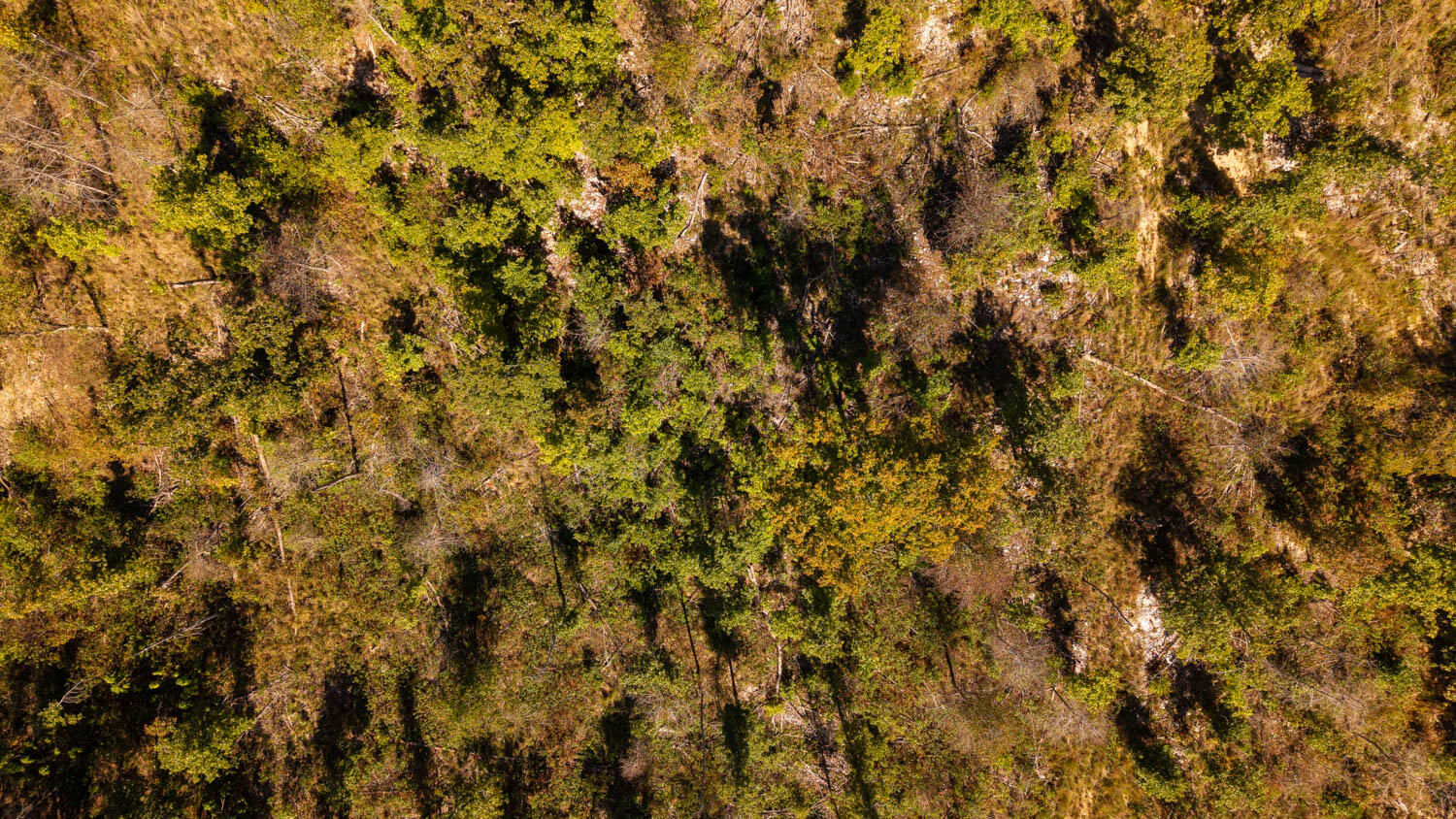 000 A Highway Property Photo 3