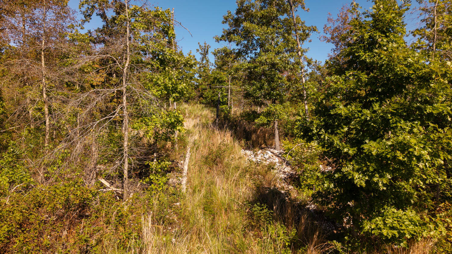 000 A Highway Property Photo 5