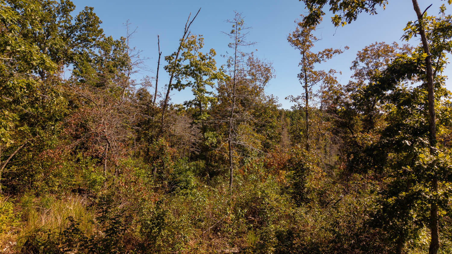 000 A Highway Property Photo 6