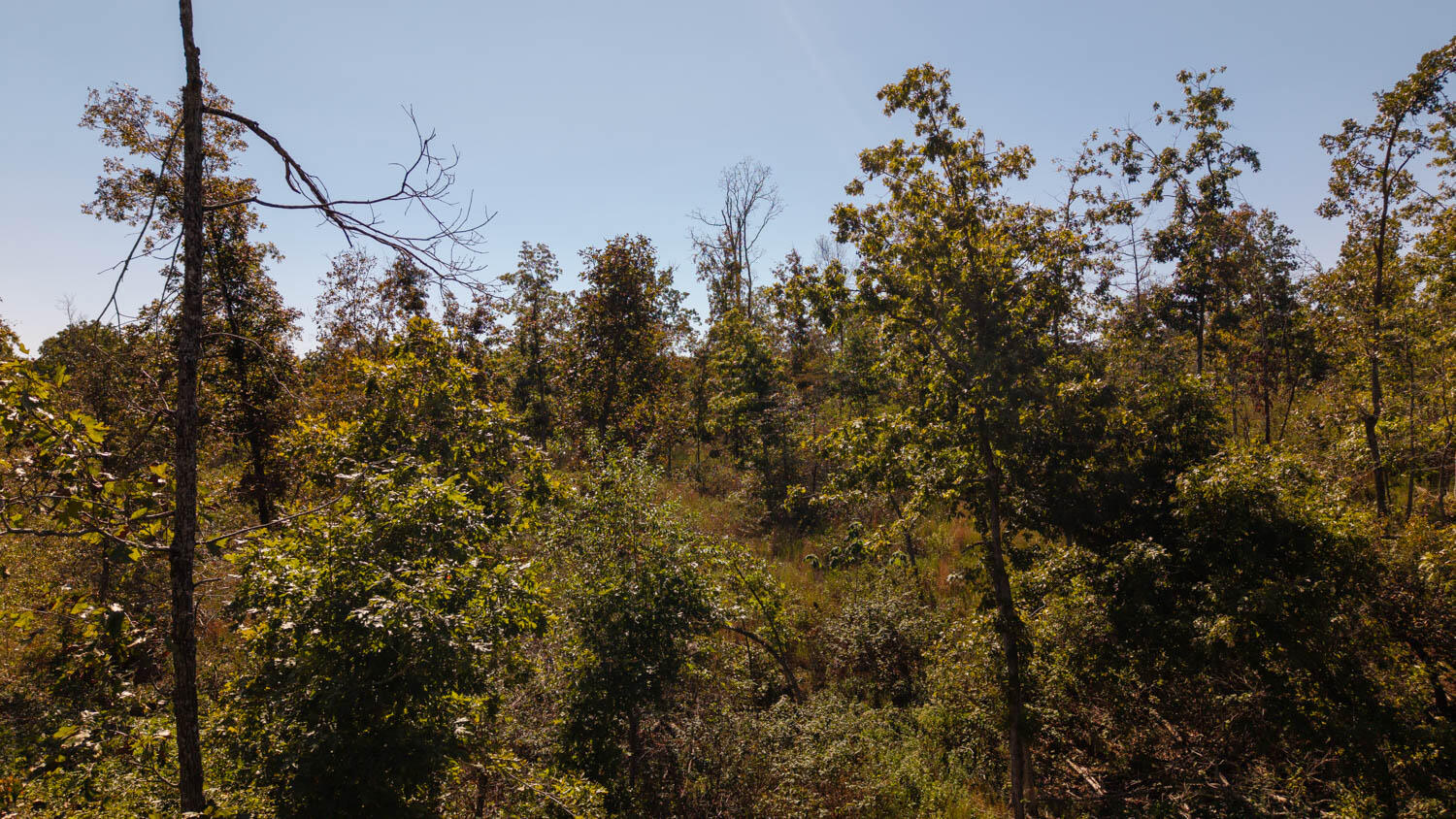 000 A Highway Property Photo 7