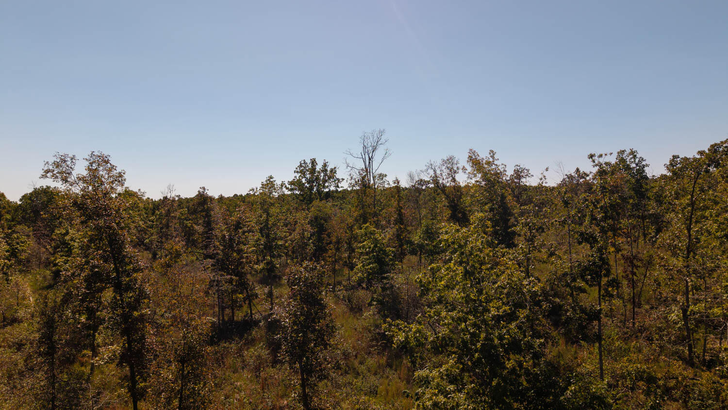 000 A Highway Property Photo 8