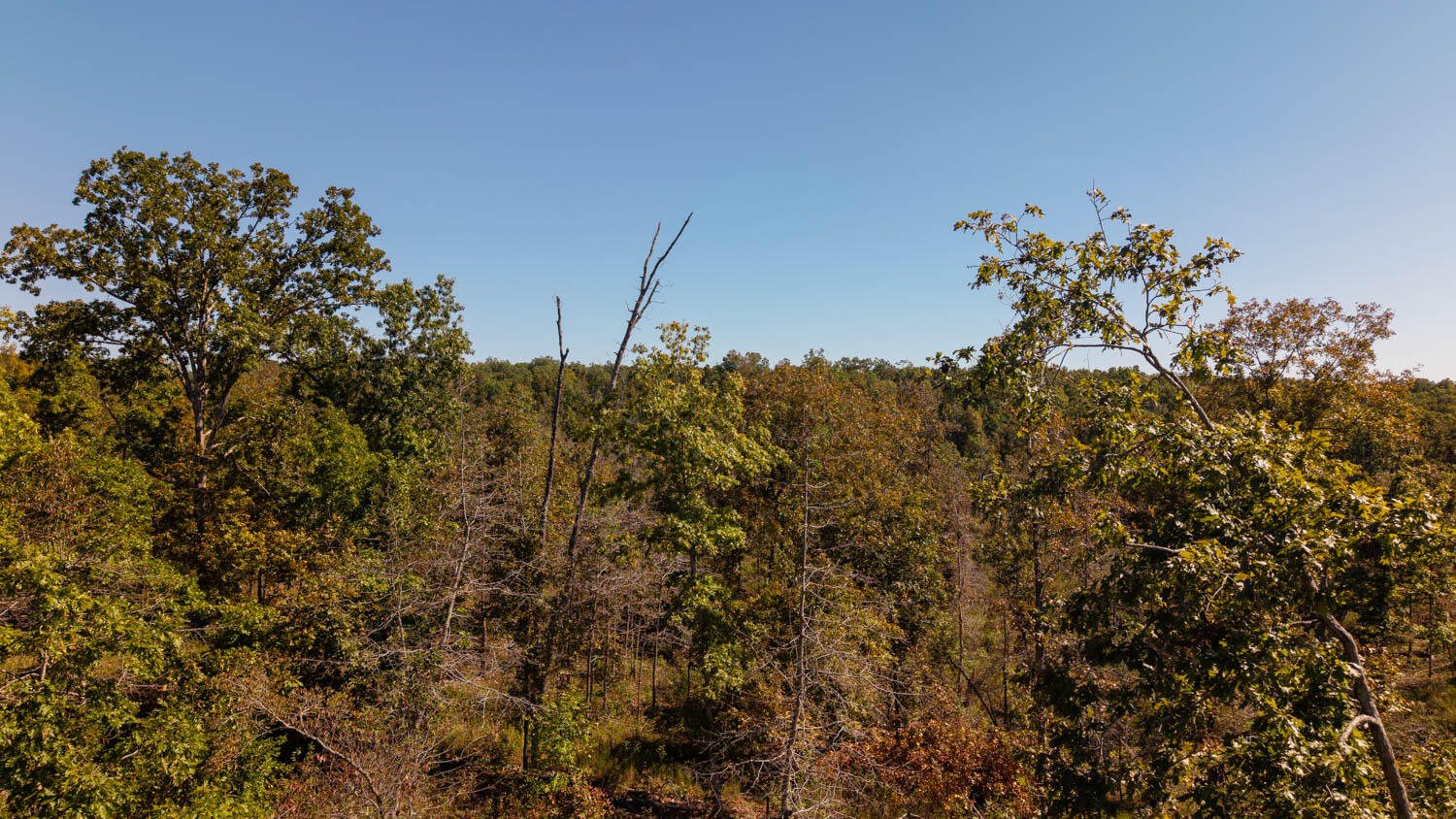 000 A Highway Property Photo 9