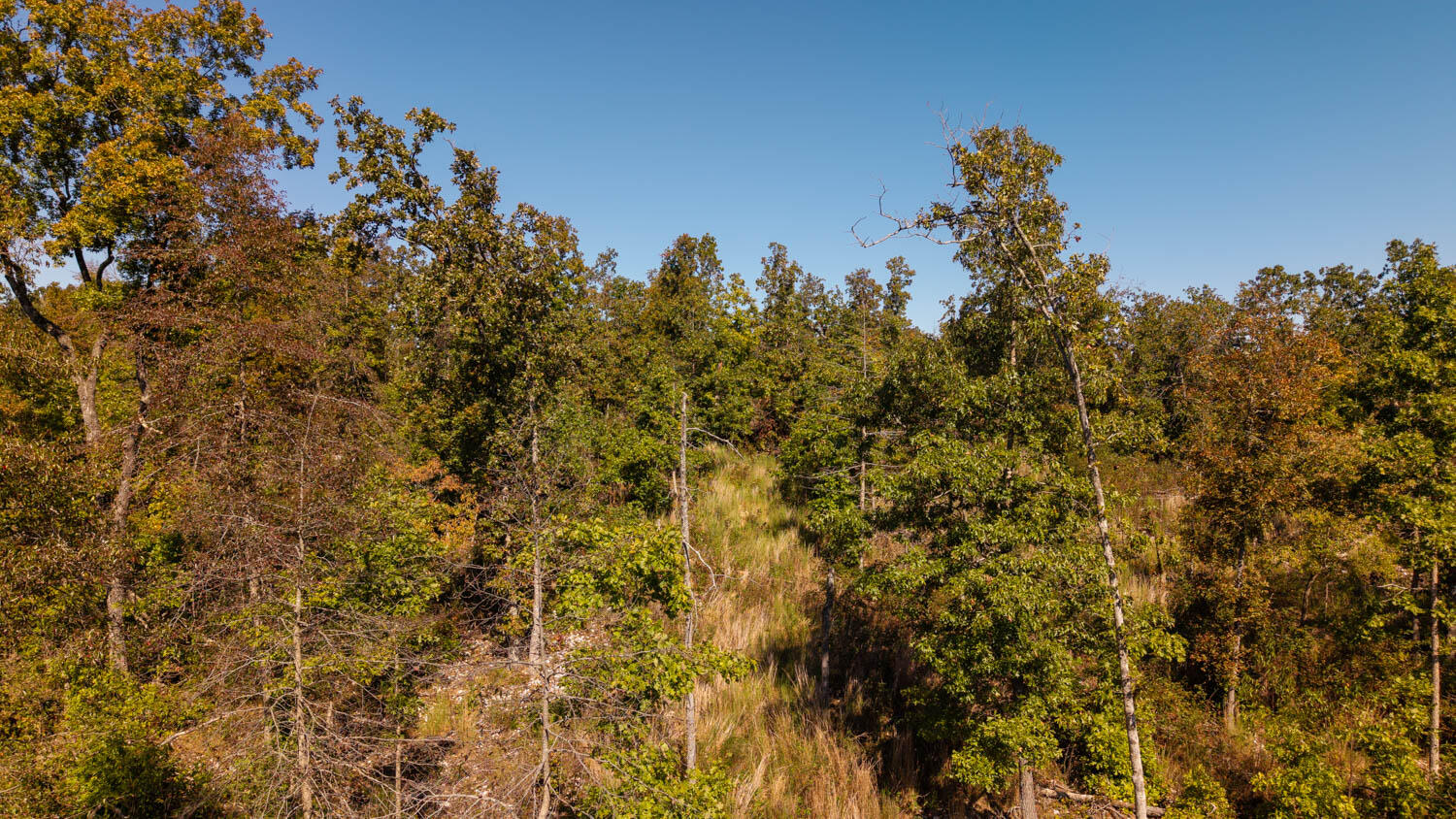 000 A Highway Property Photo 10