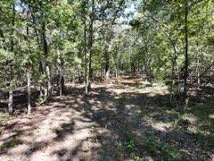 2904 Moark Road Lot 7 Property Photo 5
