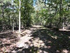 2904 Moark Road Lot 7 Property Photo 6