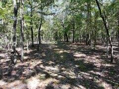2904 Moark Road Lot 7 Property Photo 8