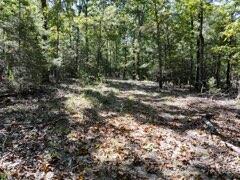 2904 Moark Road Lot 7 Property Photo 9