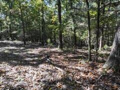 2904 Moark Road Lot 7 Property Photo 10