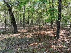 2904 Moark Road Lot 7 Property Photo 11