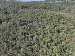 2904 Moark Road Lot 7 Property Photo 13
