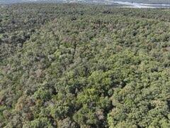 2904 Moark Road Lot 7 Property Photo 29