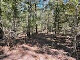 2904 Moark Road Lot 7 Property Photo 37