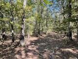 2904 Moark Road Lot 7 Property Photo 38