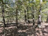 2904 Moark Road Lot 7 Property Photo 39
