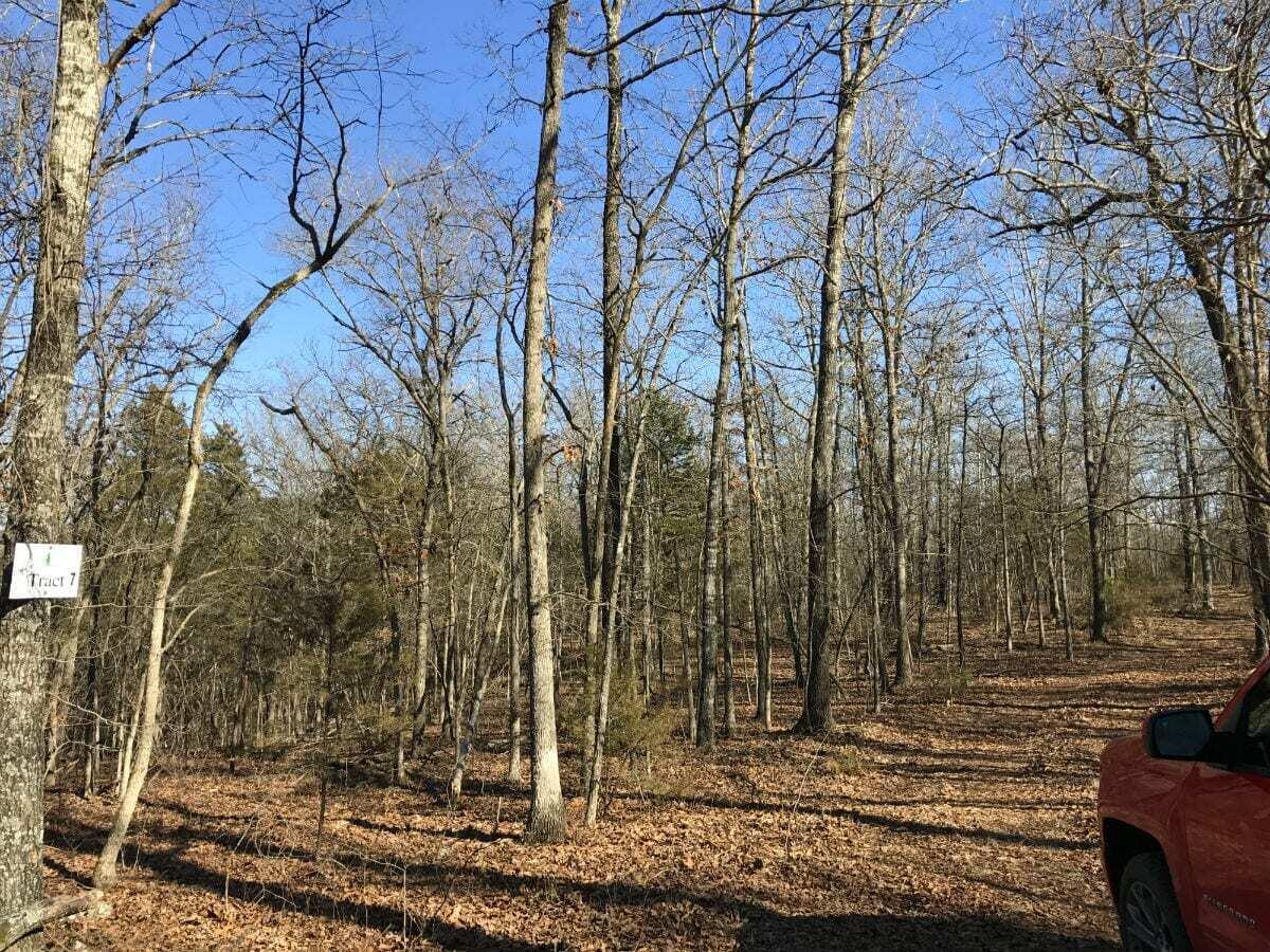 2904 Moark Road Lot 7 Property Photo 41