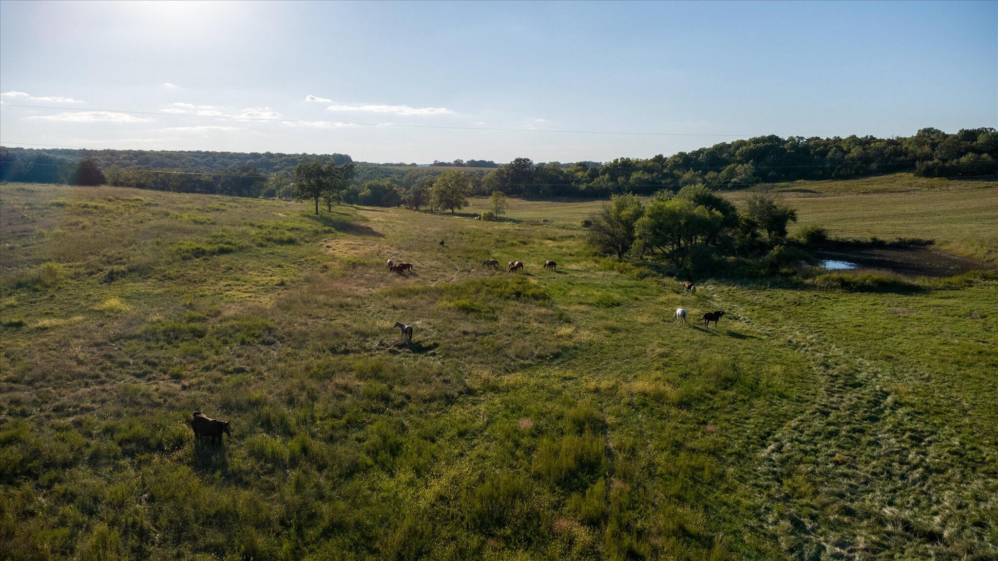 11998 East Highway 32 Property Photo 78