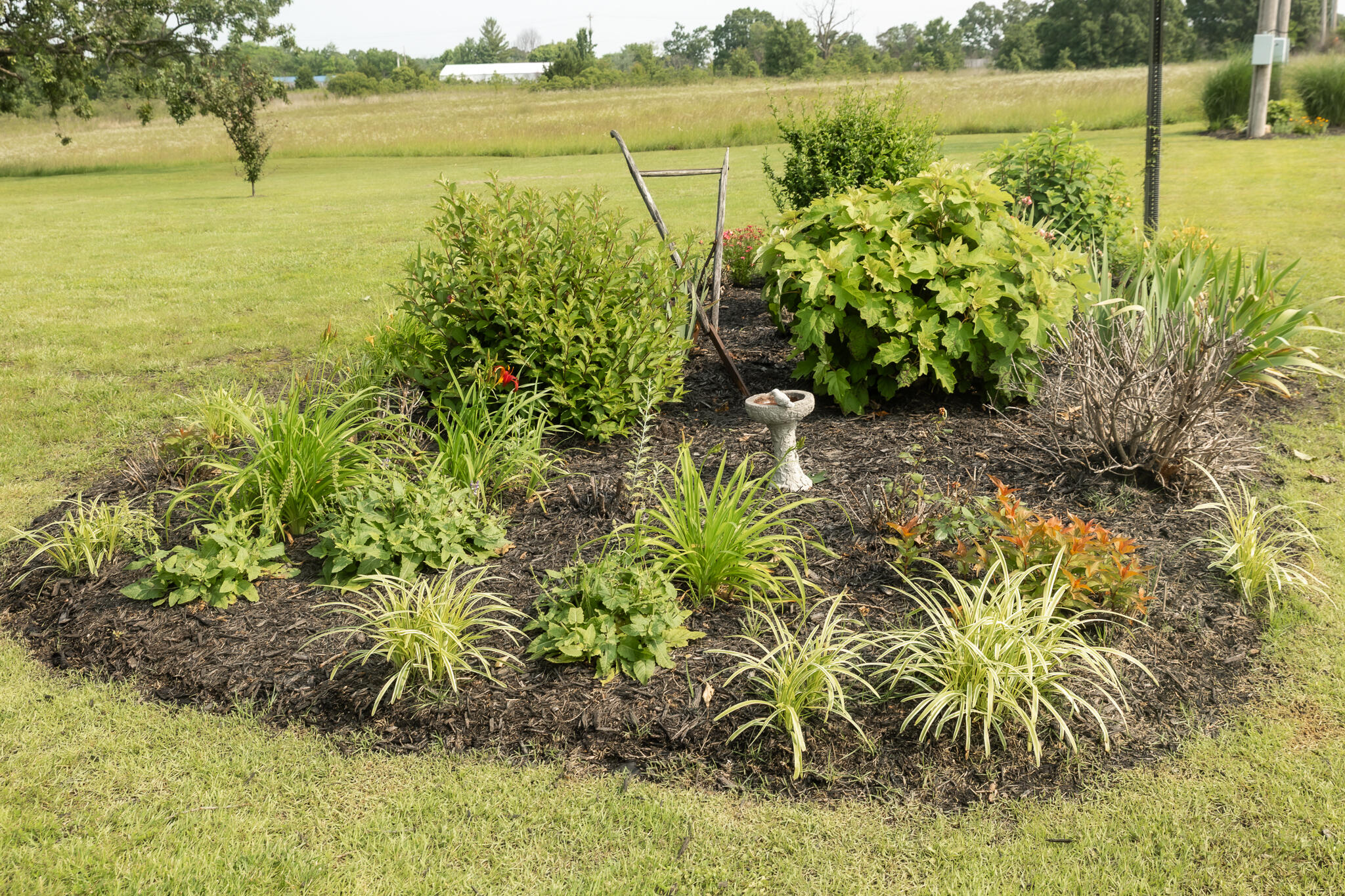 249 State Highway 73 Property Photo 43