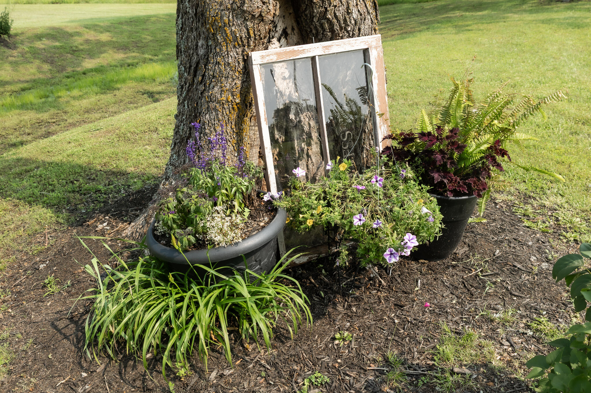 249 State Highway 73 Property Photo 44