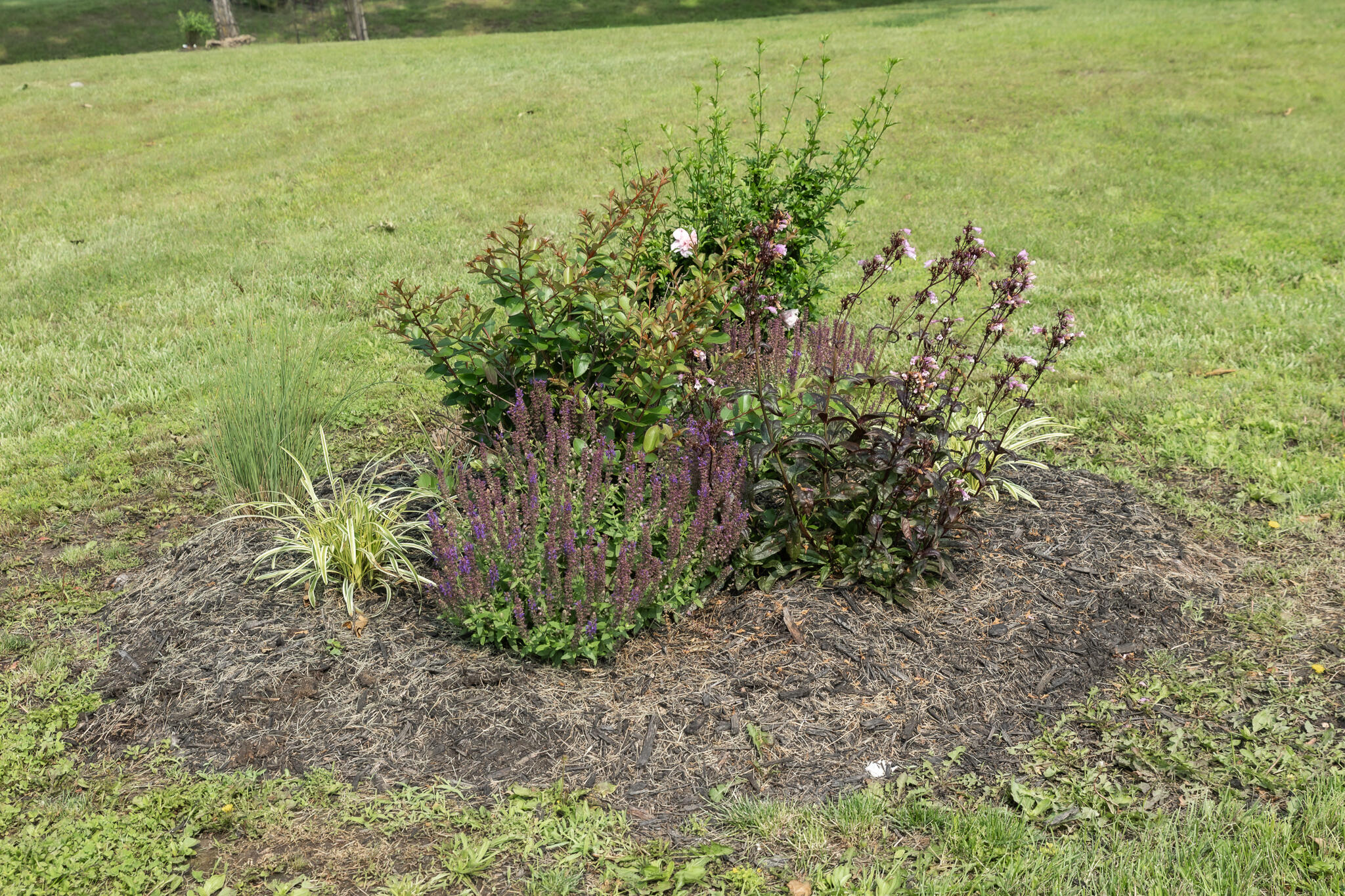 249 State Highway 73 Property Photo 45