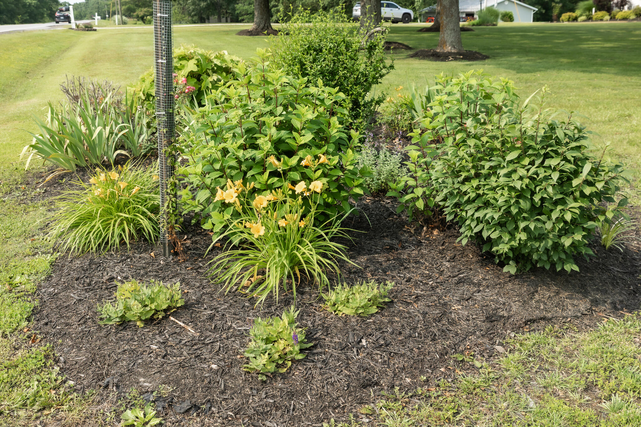 249 State Highway 73 Property Photo 46