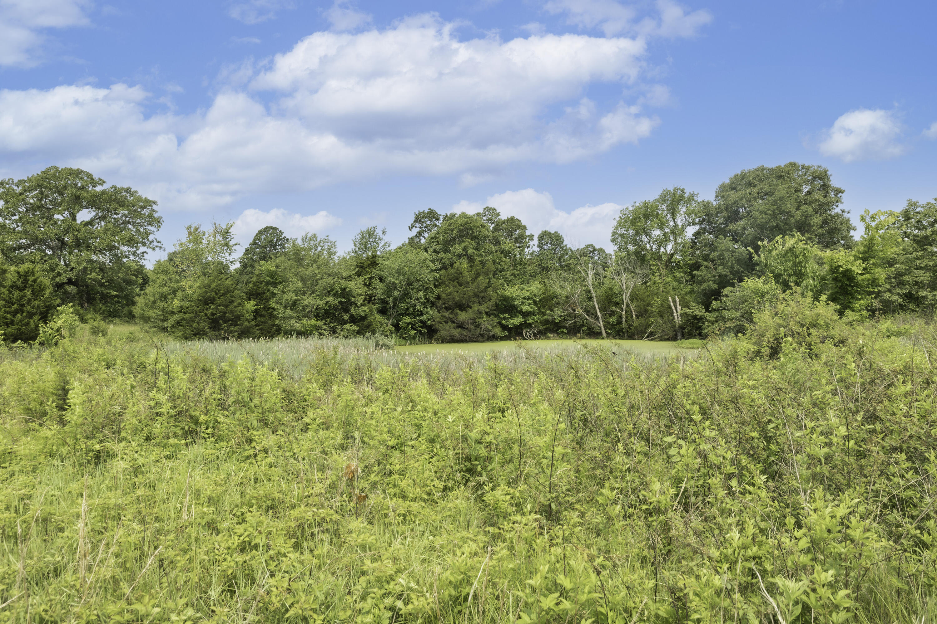 249 State Highway 73 Property Photo 64