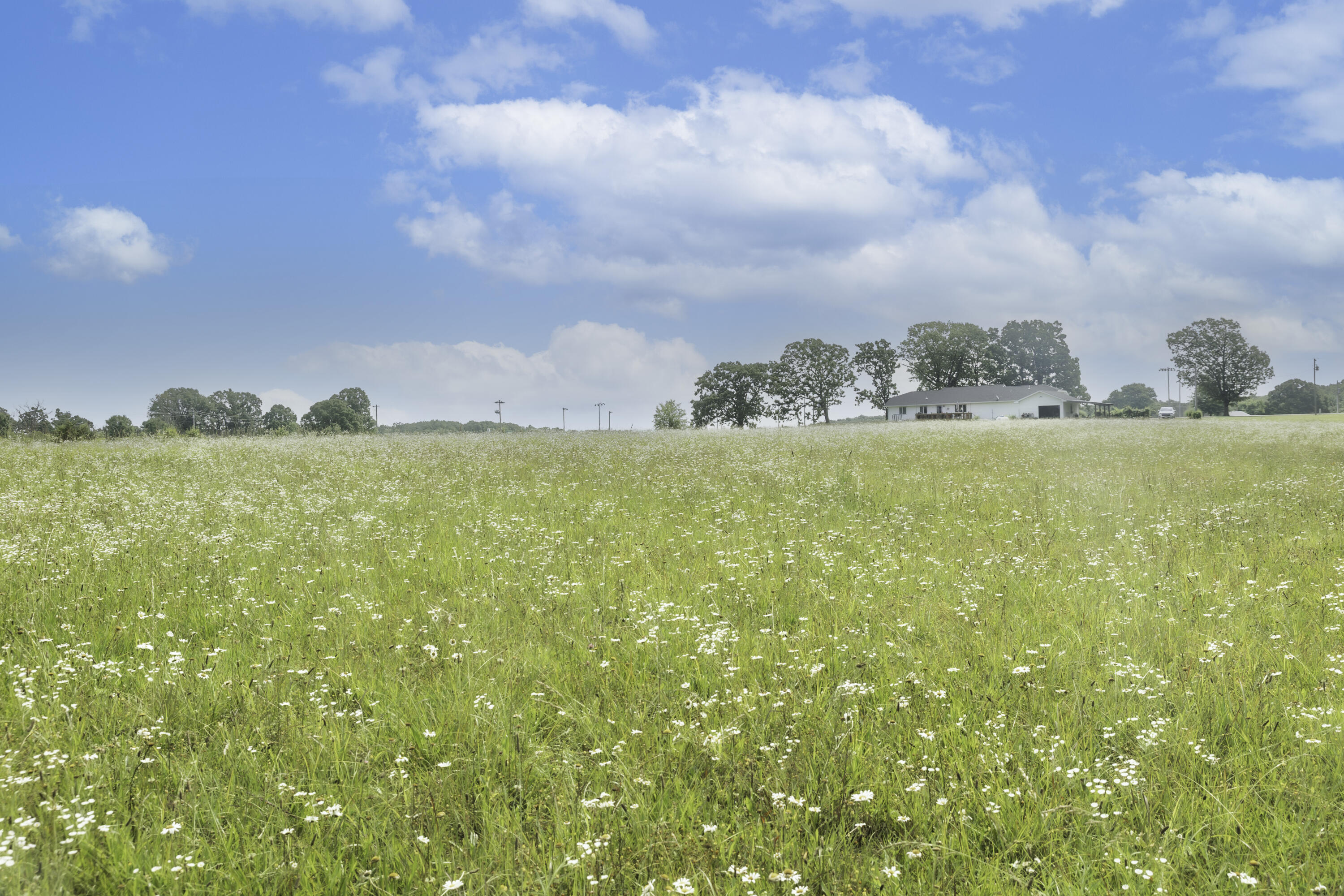 249 State Highway 73 Property Photo 69