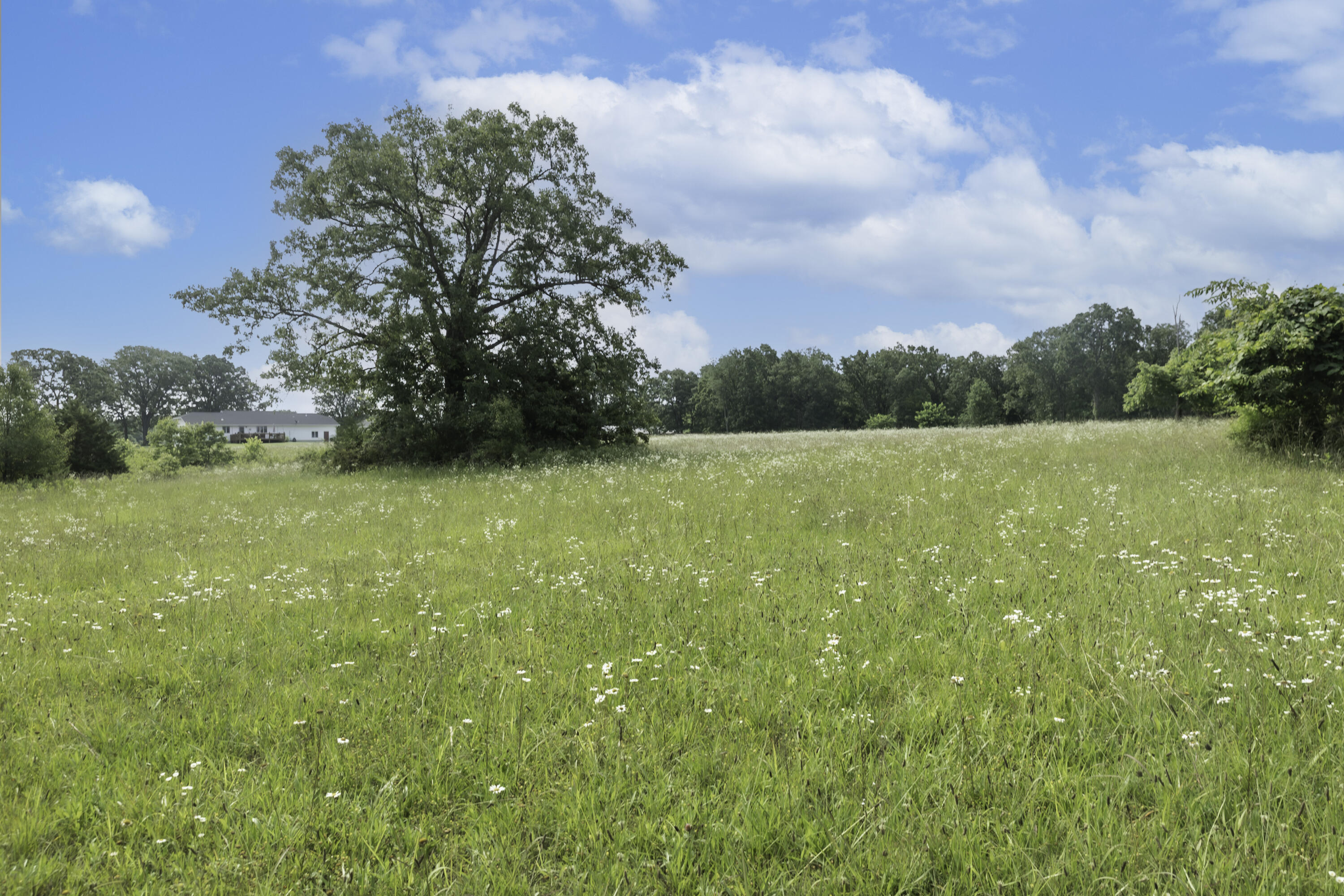 249 State Highway 73 Property Photo 70