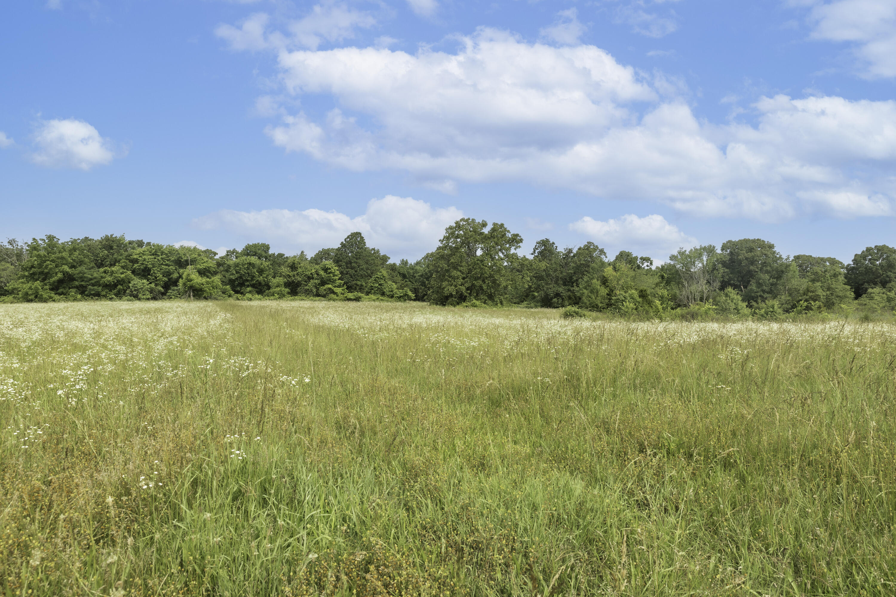 249 State Highway 73 Property Photo 71