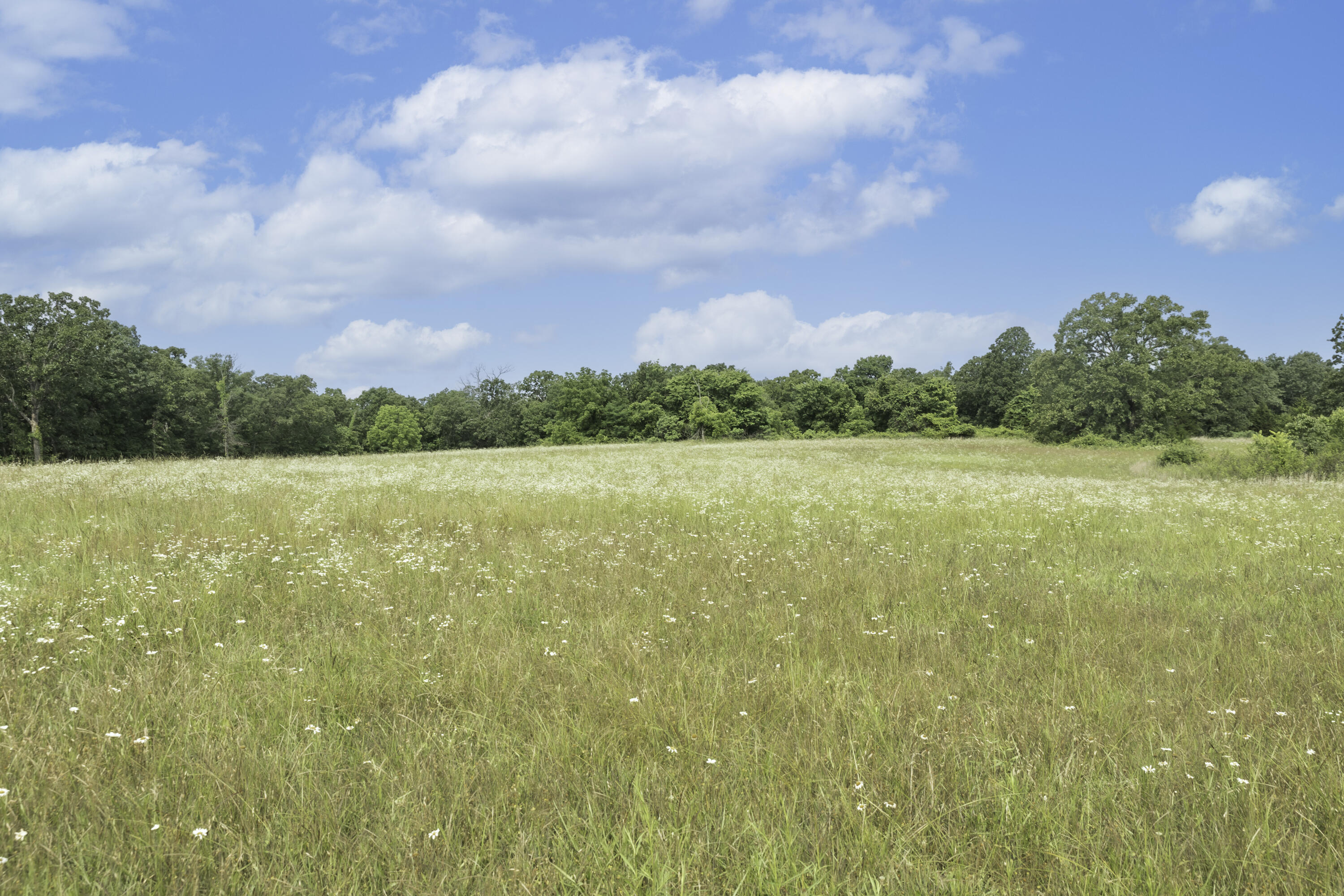 249 State Highway 73 Property Photo 72