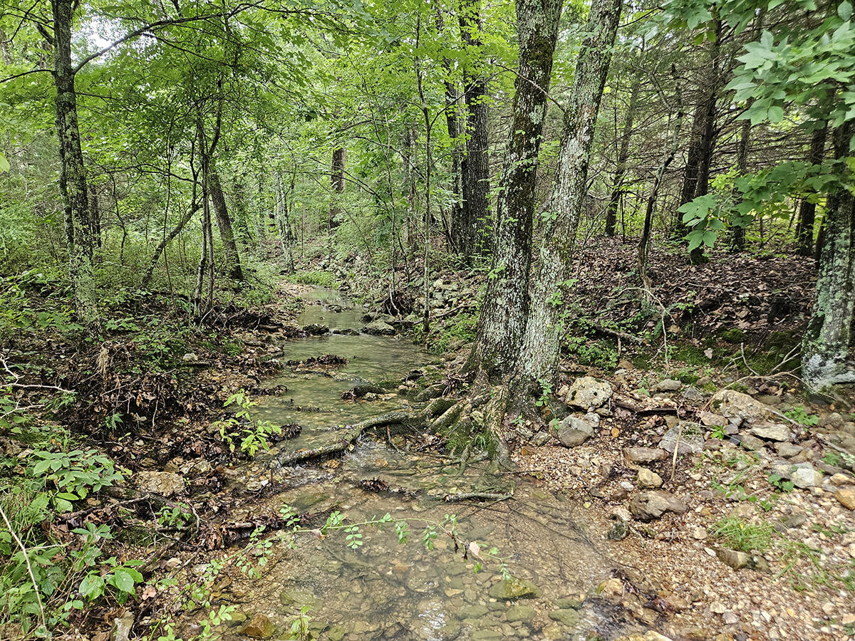 00 Sargent Road Property Photo 4